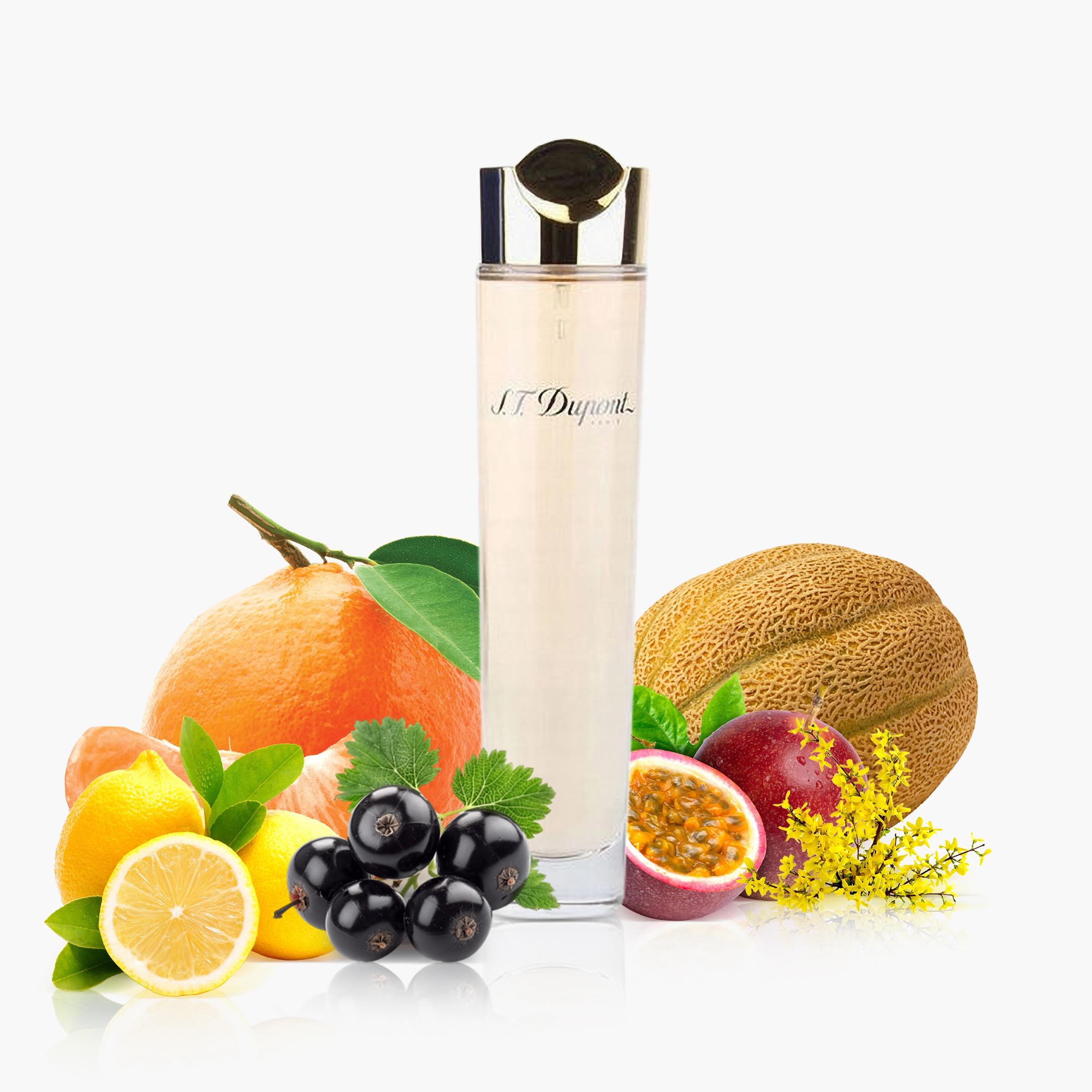 S. T. Dupont Paris Eau de Parfum Spray for Women - 100 ml-beautyandpersonalcare-fragrance-women-image-3