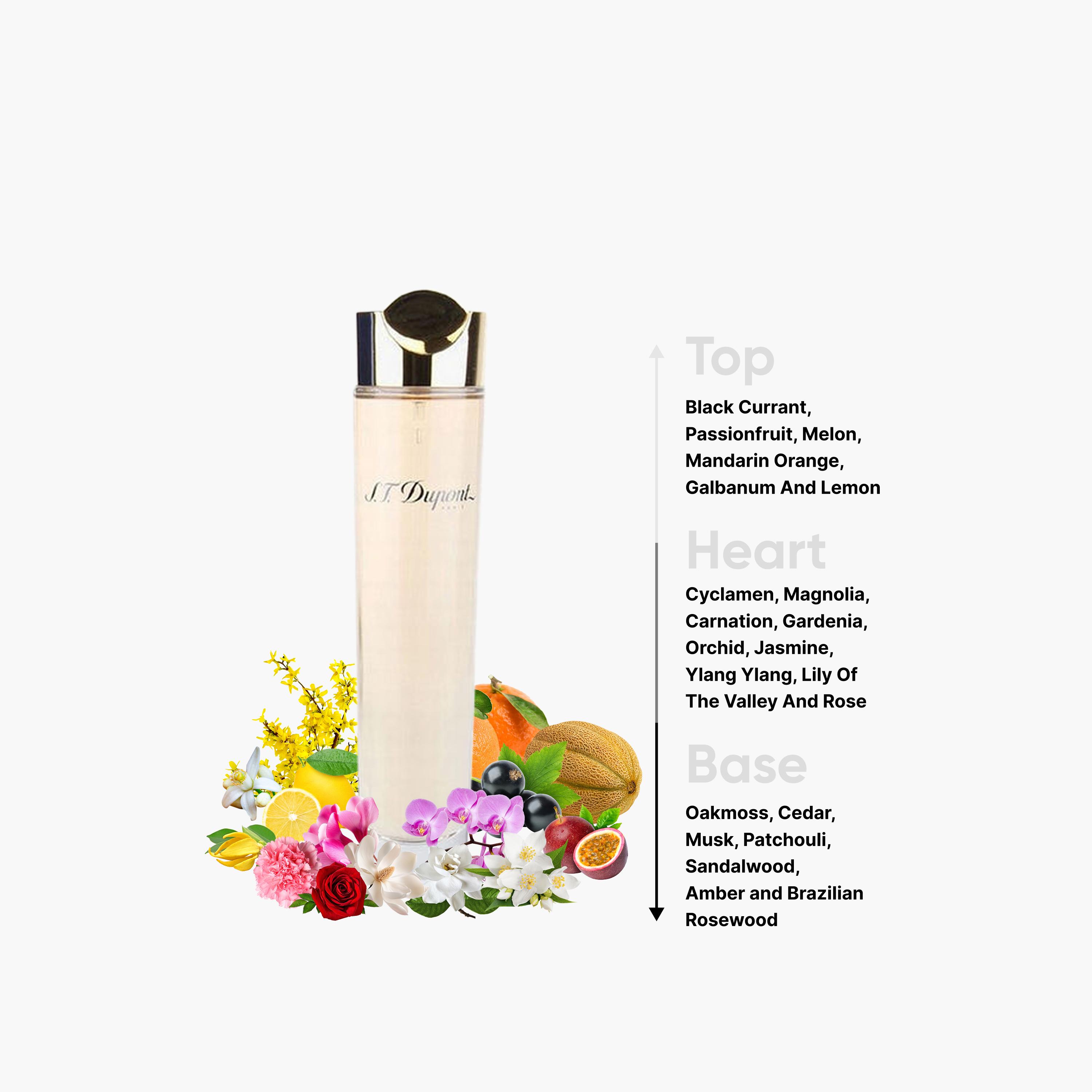 S. T. Dupont Paris Eau de Parfum Spray for Women - 100 ml-beautyandpersonalcare-fragrance-women-image-4