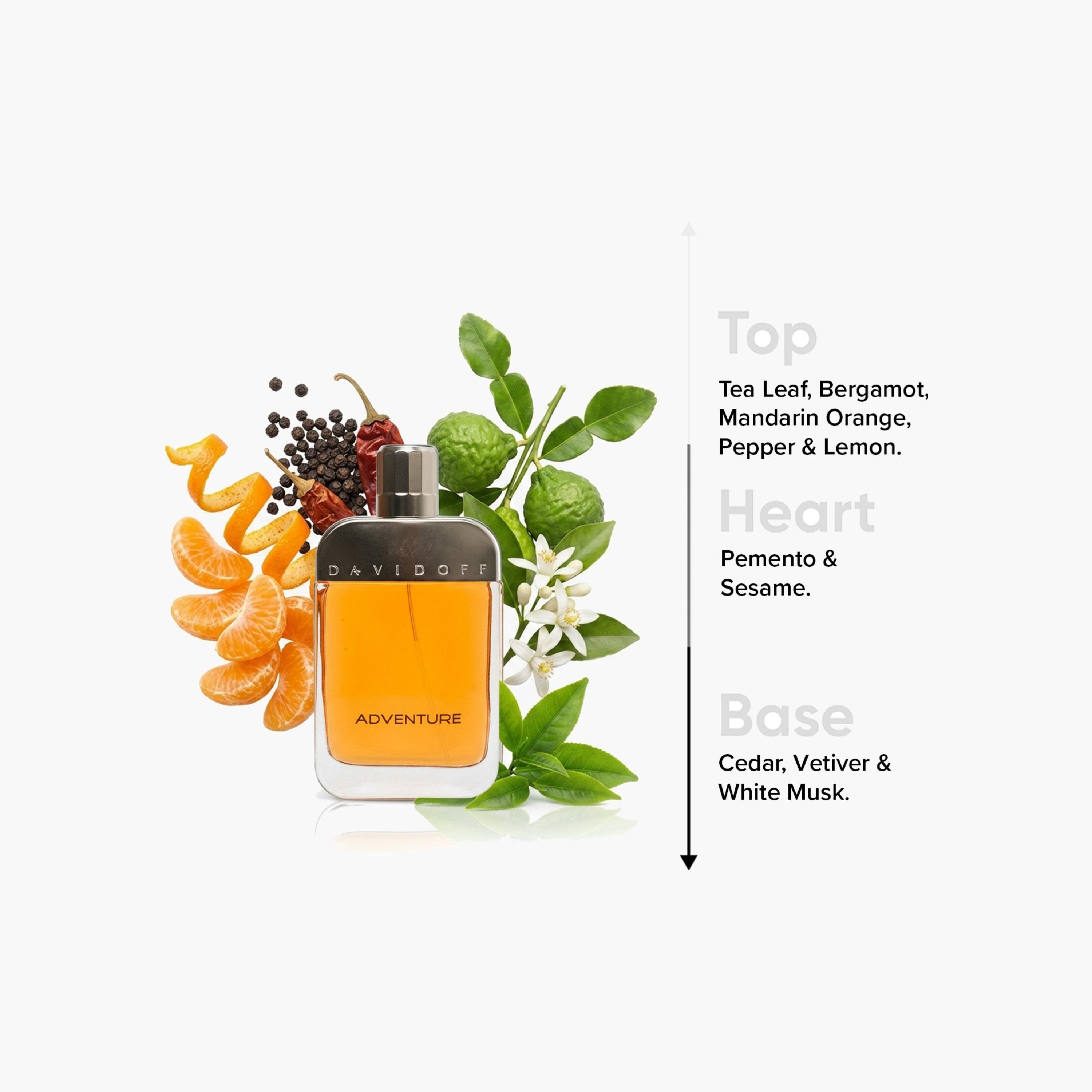 عطر مركز دايفيد أوف أدفنشر أو دو تواليت سبراي للرجال - 100 مل-beautyandpersonalcare-fragrance-men-image-4