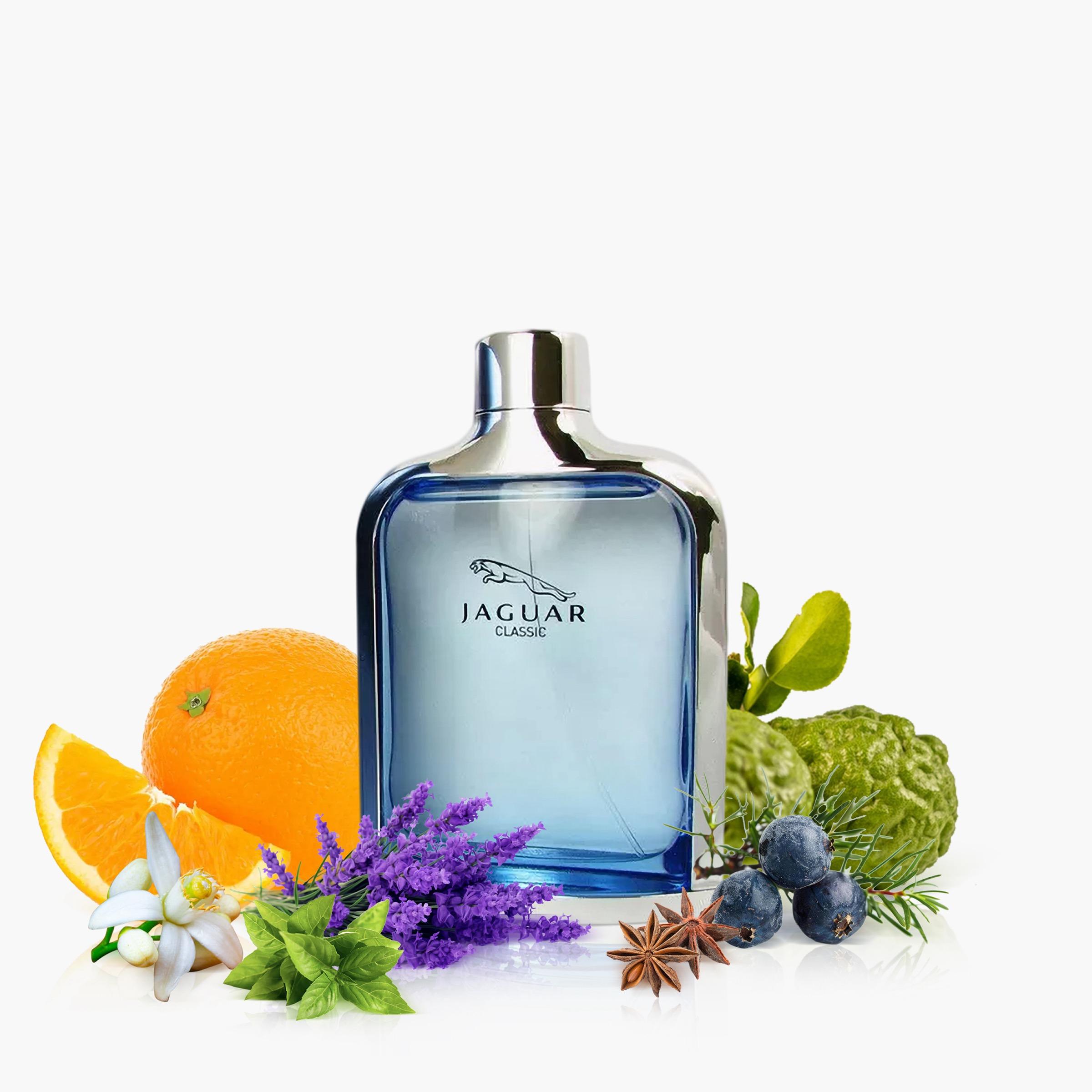 Jaguar Classic Blue Natural Spray for Men - 100 ml-beautyandpersonalcare-fragrance-men-image-3