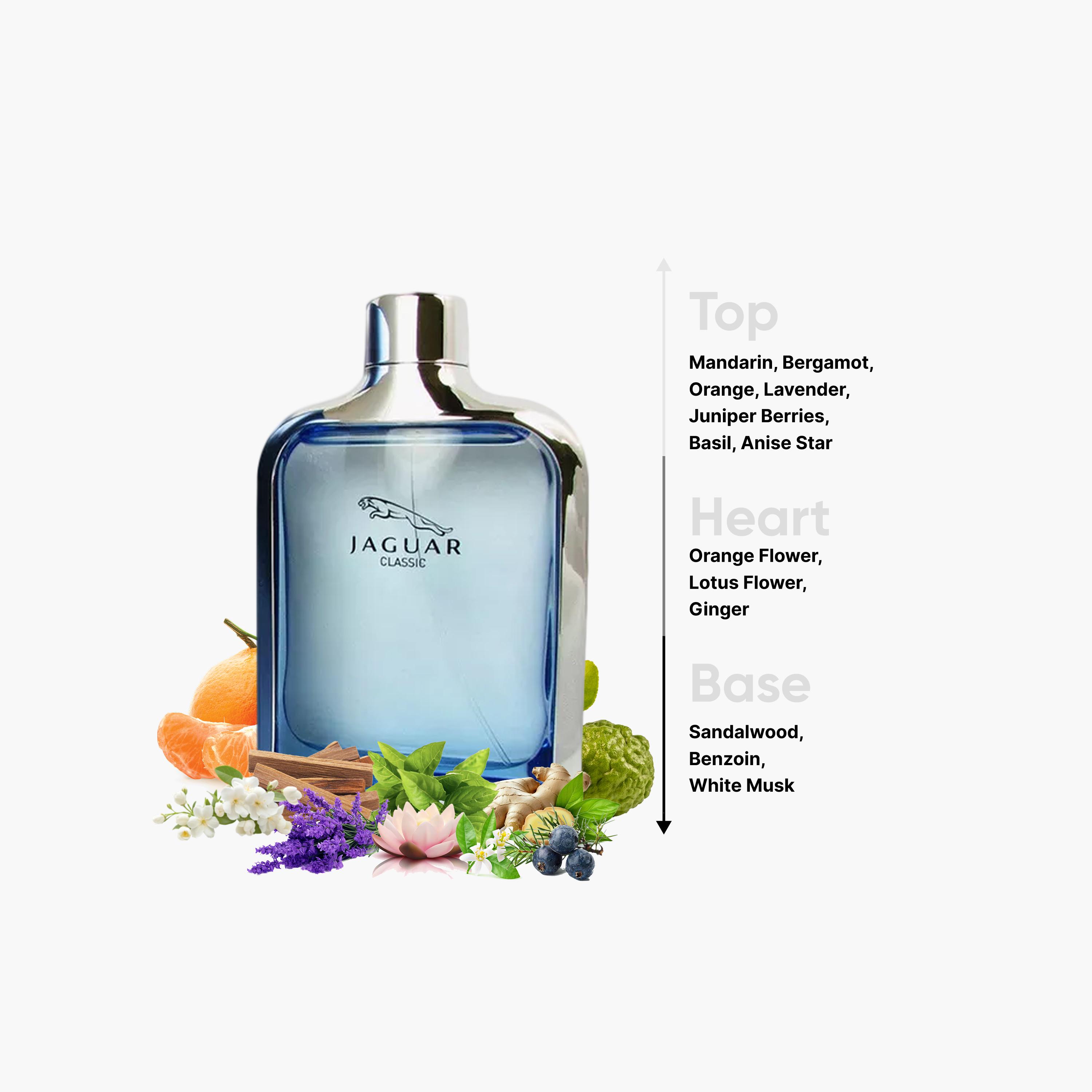 Jaguar Classic Blue Natural Spray for Men - 100 ml-beautyandpersonalcare-fragrance-men-image-4