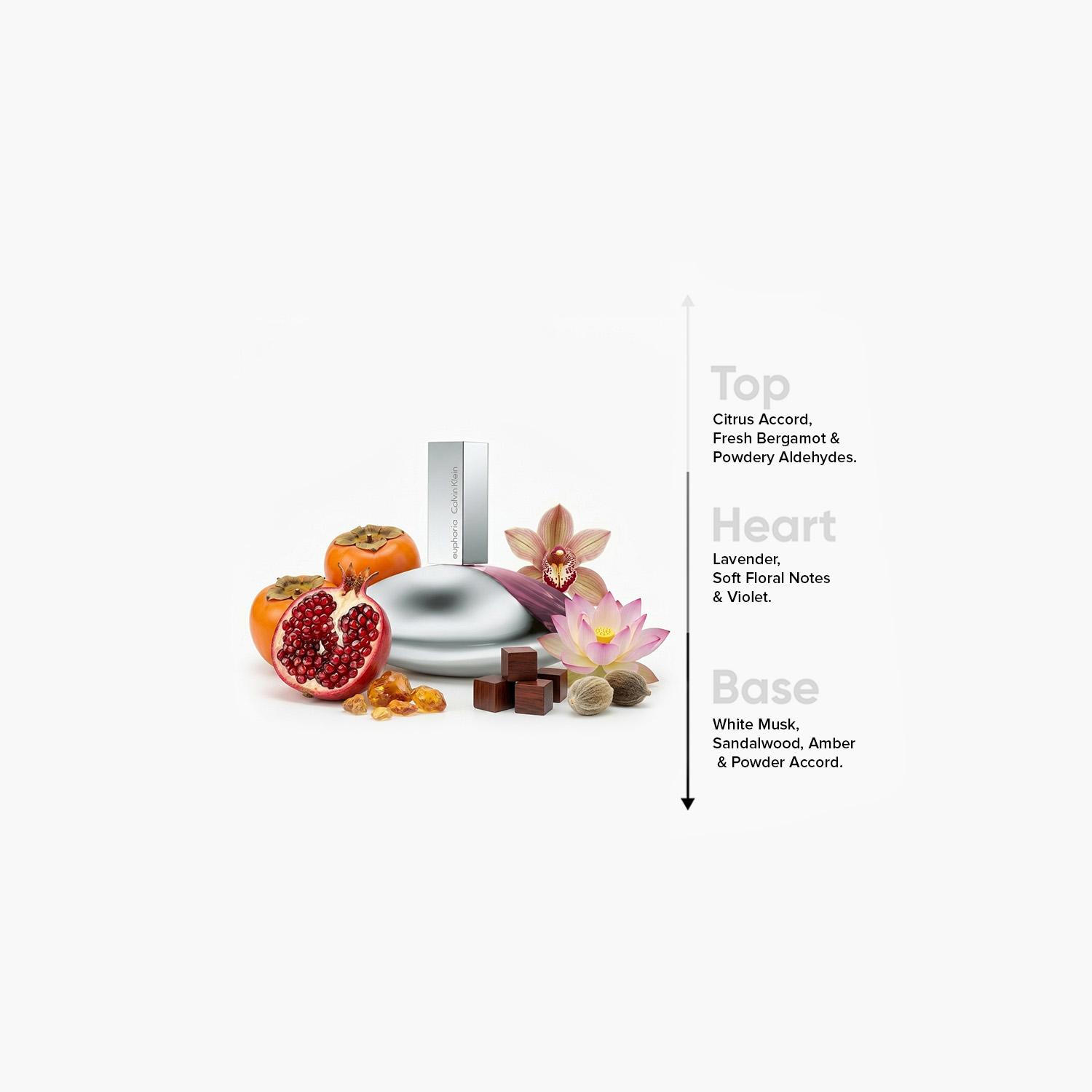 Calvin Klein Euphoria Eau de Parfum Spray for Women - 50 ml-beautyandpersonalcare-fragrance-women-image-4