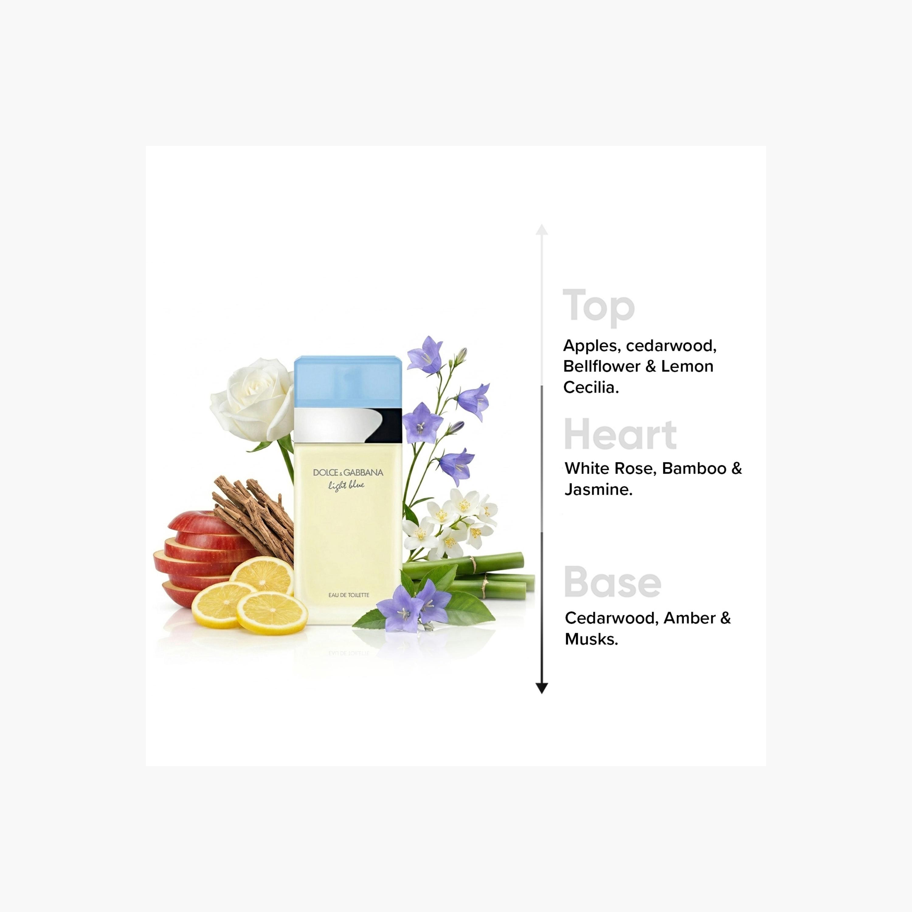 Dolce & Gabbana Light Blue Eau de Toilette for Women - 100 ml-beautyandpersonalcare-fragrance-women-image-5