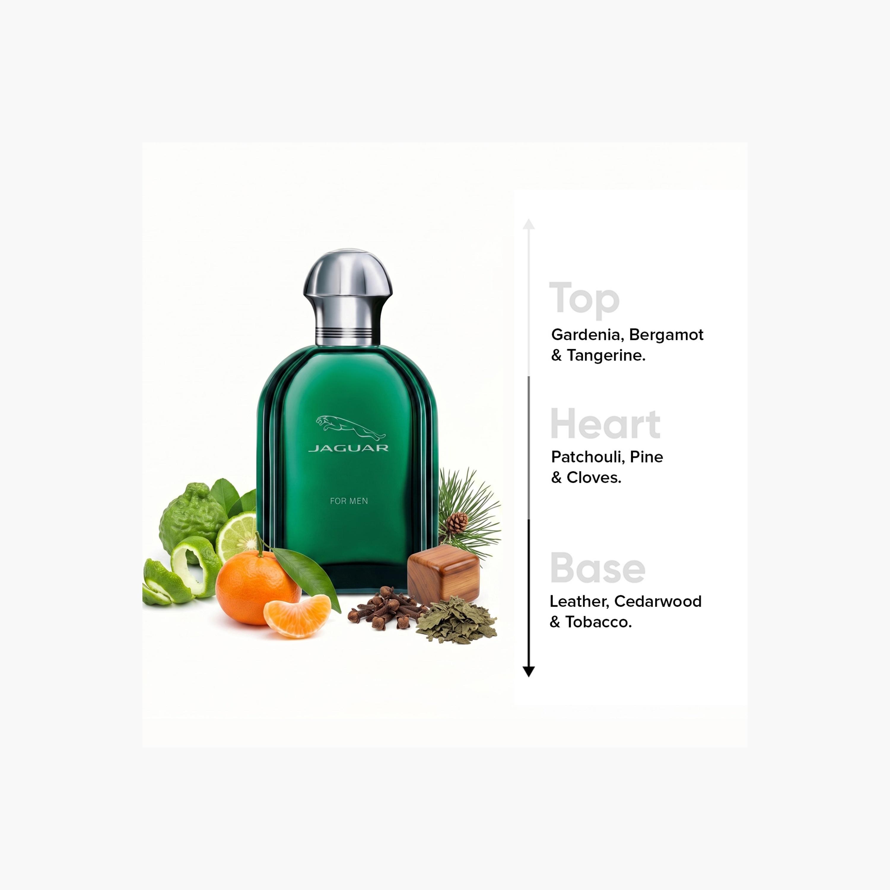 Jaguar Eau de Toilette Spray for Men - 100 ml-beautyandpersonalcare-fragrance-men-image-5