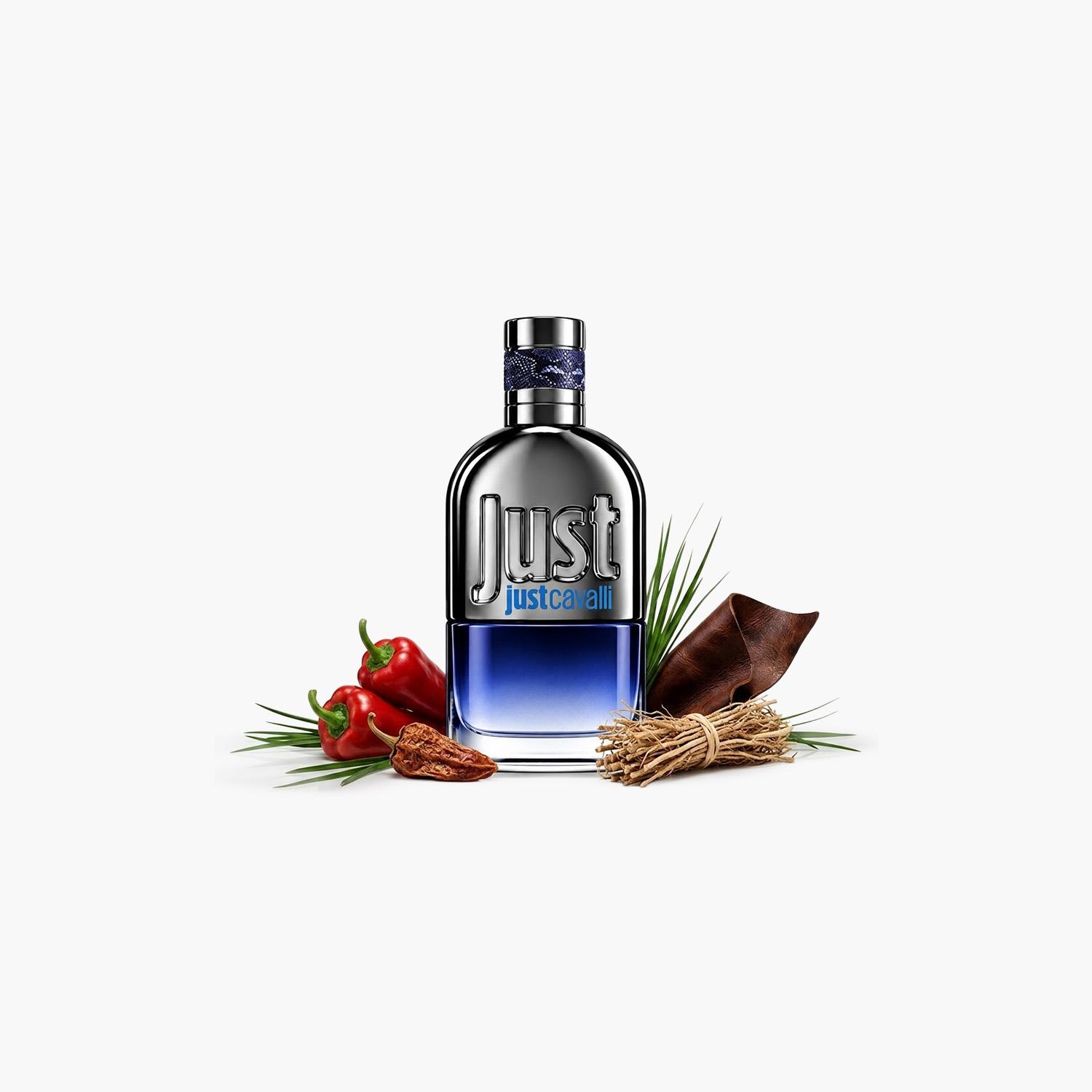 Roberto Cavalli Just Just Cavalli Eau de Toilette for Men - 90 ml-beautyandpersonalcare-fragrance-men-image-3