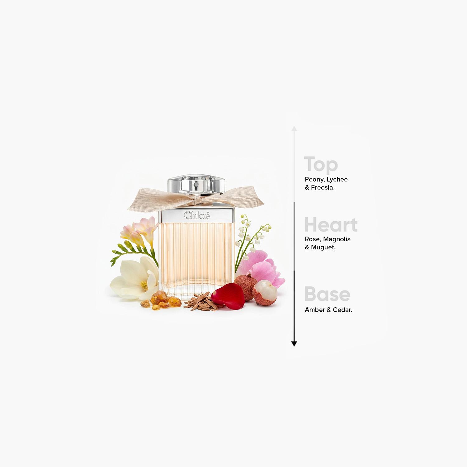 Chloe Signature Eau de Parfum Spray for Women - 75 ml-beautyandpersonalcare-fragrance-women-image-4