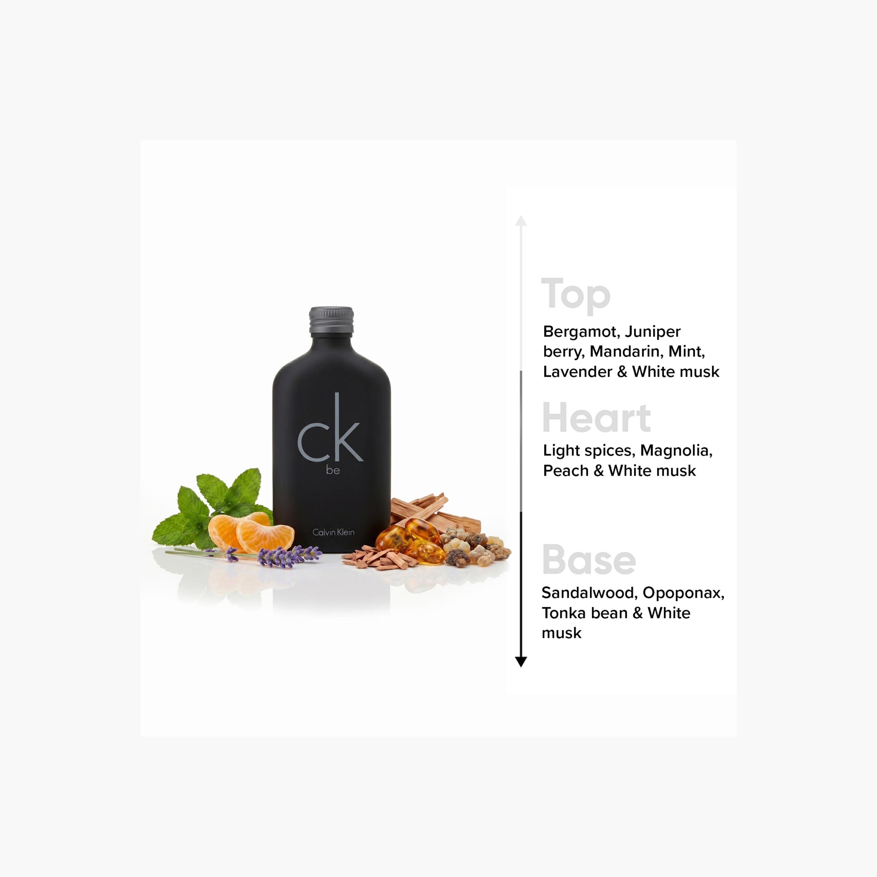 Calvin Klein Ck Be Eau de Toilette - 200 ml-beautyandpersonalcare-fragrance-men-image-5