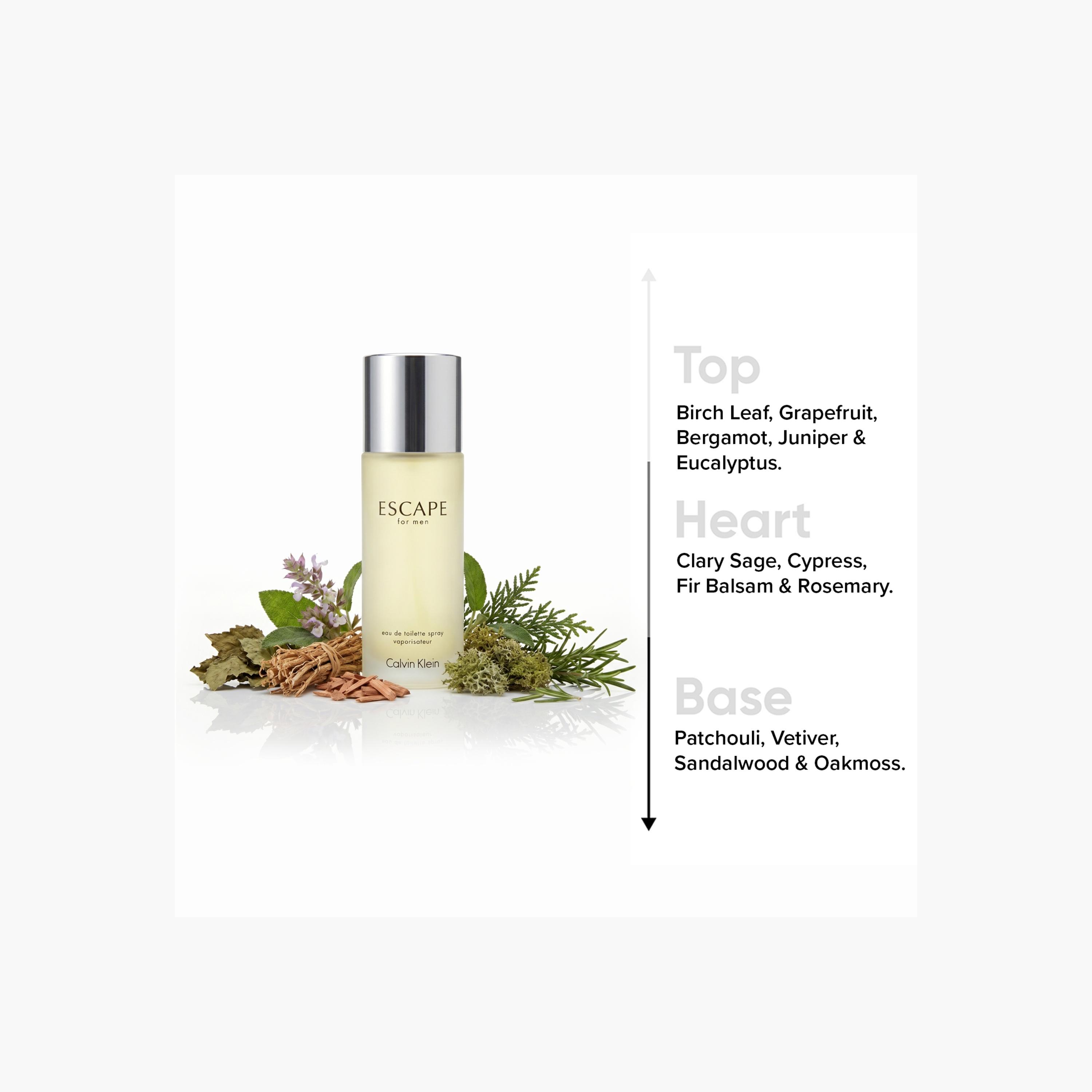 Calvin Klein Escape Eau de Toilette for Men - 100 ml-beautyandpersonalcare-fragrance-men-image-2