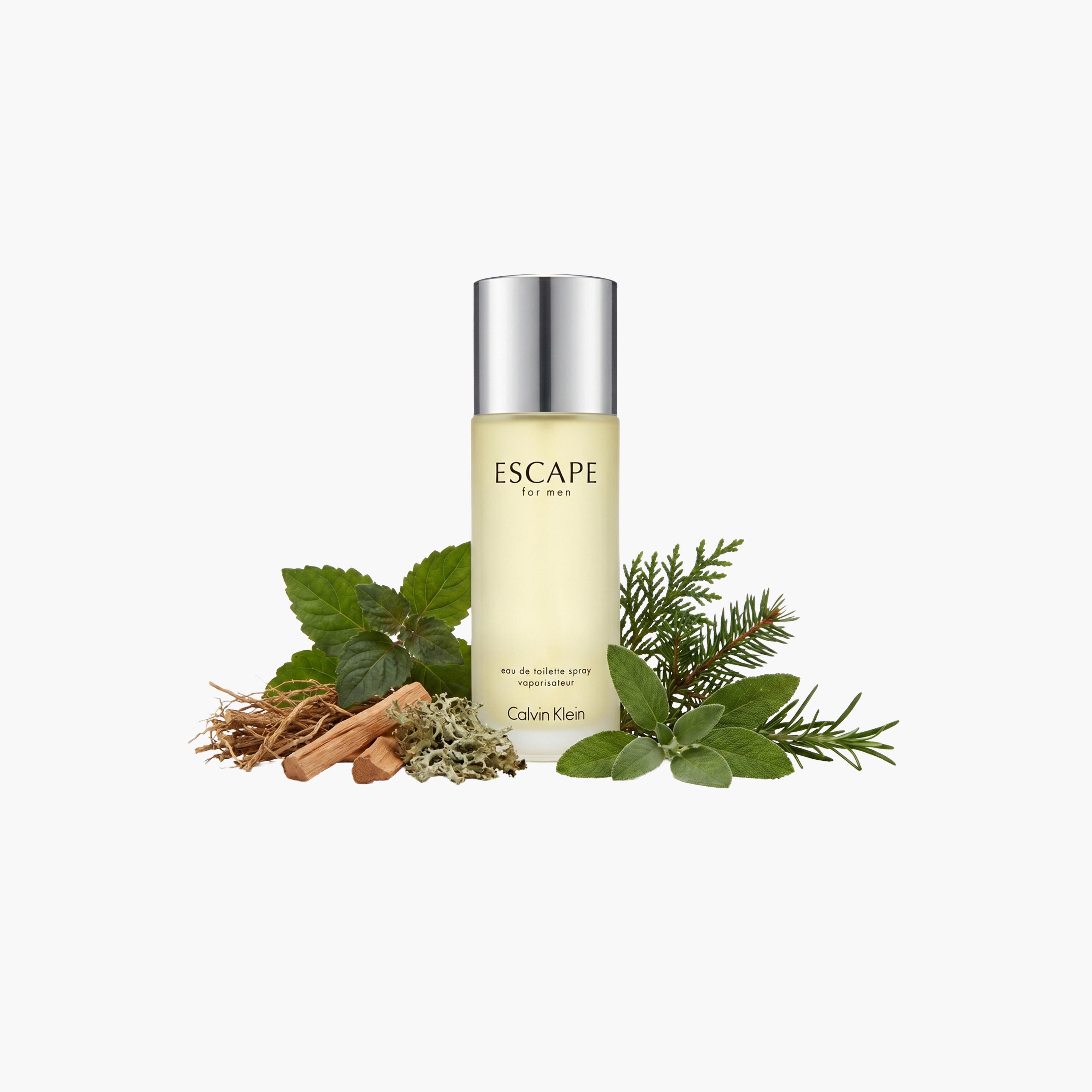 Calvin Klein Escape Eau de Toilette for Men - 100 ml-beautyandpersonalcare-fragrance-men-image-5