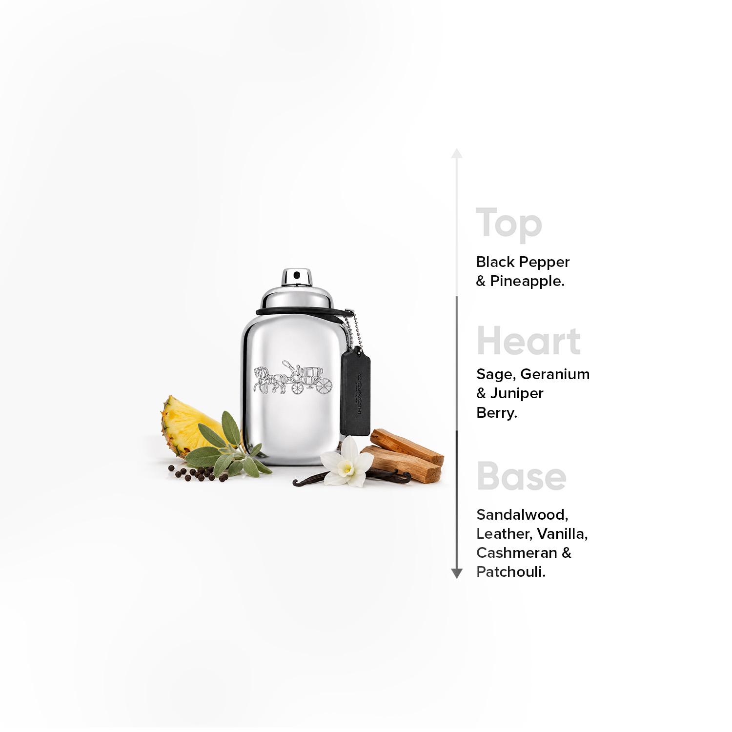 Coach Platinum Eau De Parfum - 100 ml-beautyandpersonalcare-fragrance-unisex-image-4