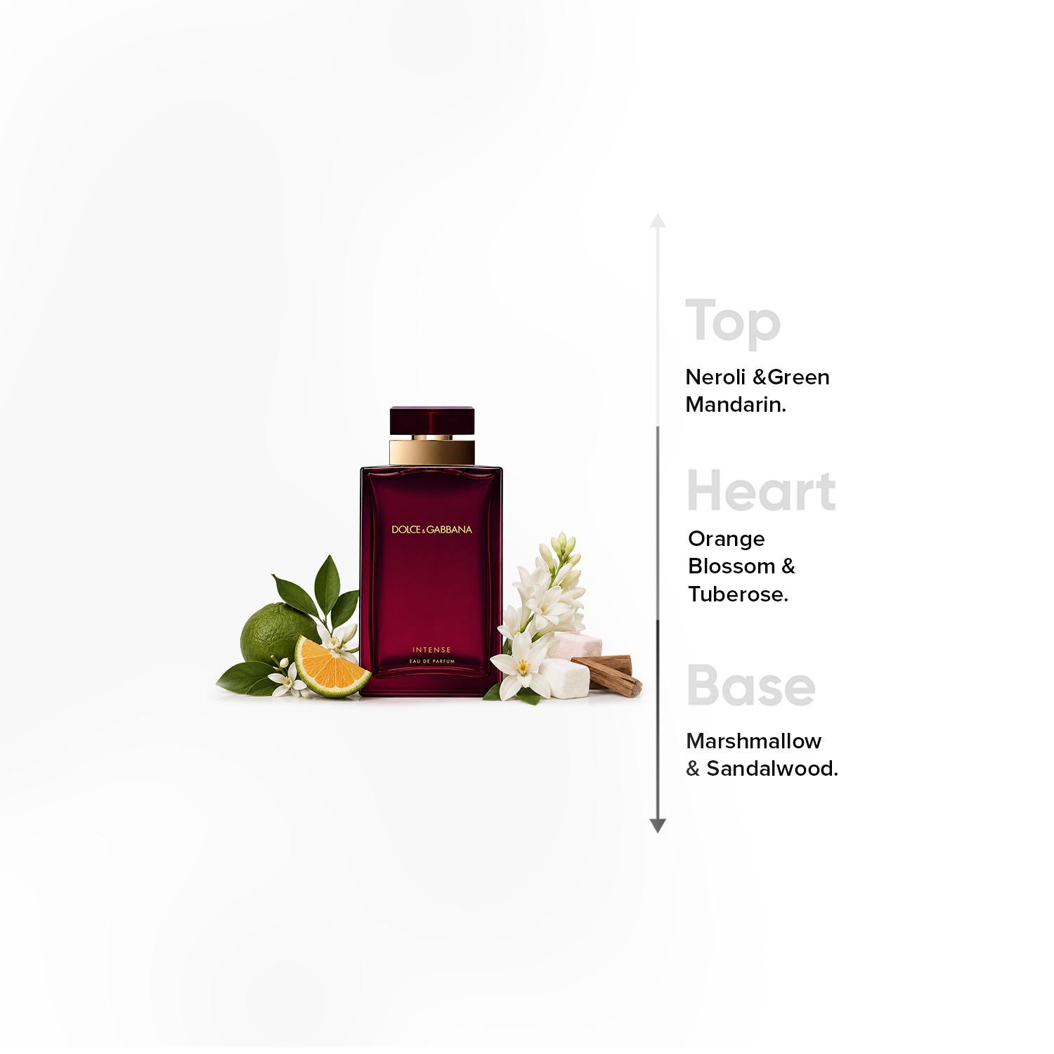 Dolce & Gabbana Pour Femme Intense Eau de Parfum - 100 ml-beautyandpersonalcare-fragrance-unisex-image-4