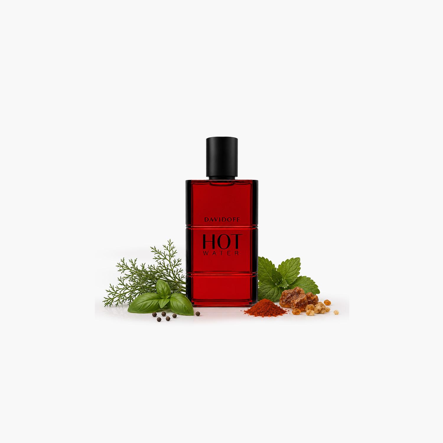 Davidoff Hot Water Eau de Toilette Spray for Men - 110 ml-beautyandpersonalcare-fragrance-men-image-3