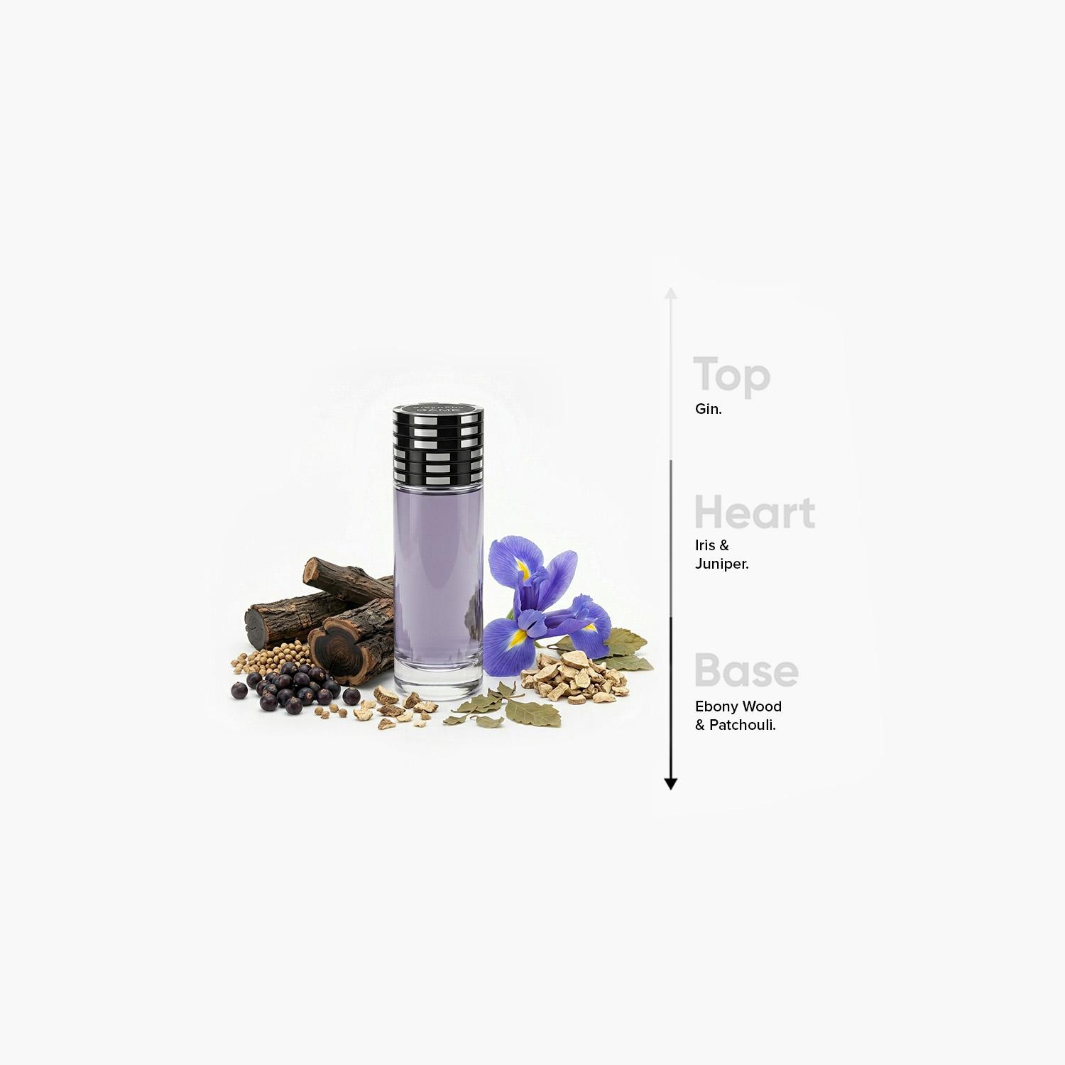 Davidoff The Game Eau de Toilette - 100 ml-beautyandpersonalcare-fragrance-unisex-image-4