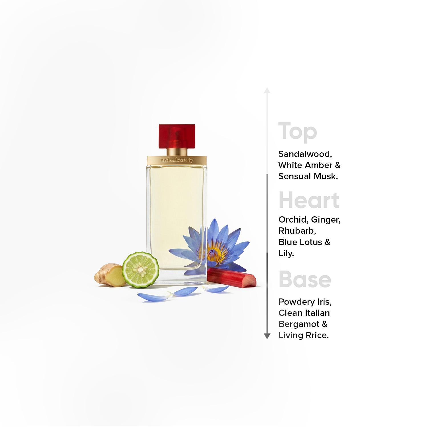 Elizabeth Arden Beauty Eau de Parfum for Women - 100 ml-beautyandpersonalcare-fragrance-women-image-4