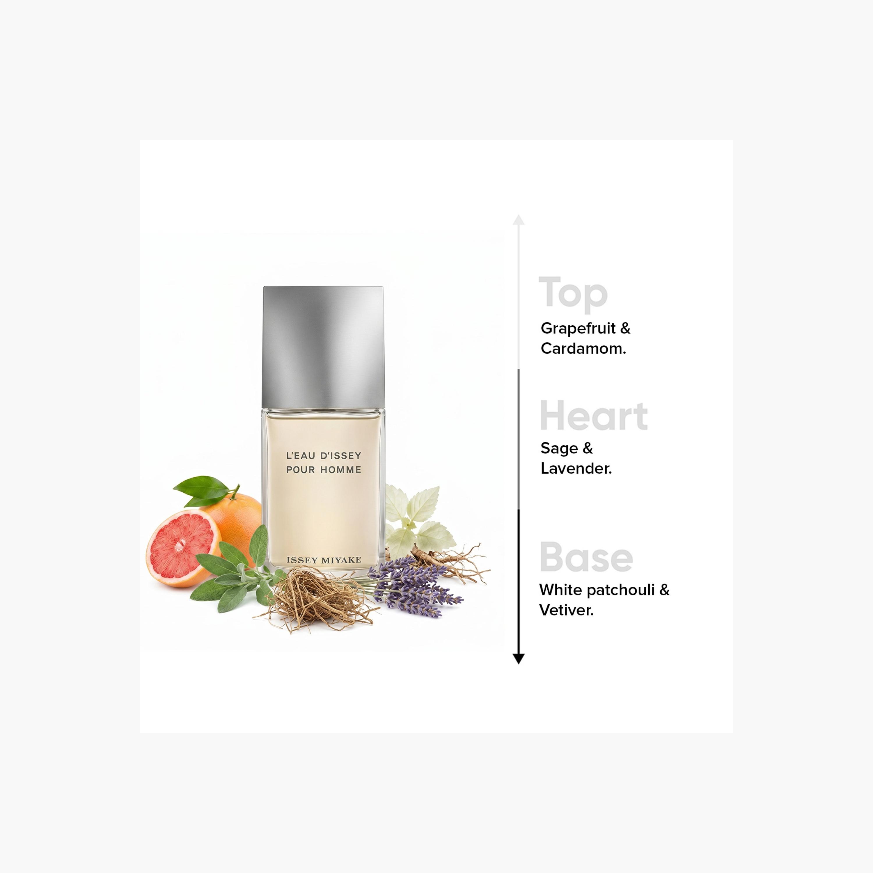 عطر أو دي تواليت إيسي مياكي للرجال - 125 مب-beautyandpersonalcare-fragrance-men-image-5