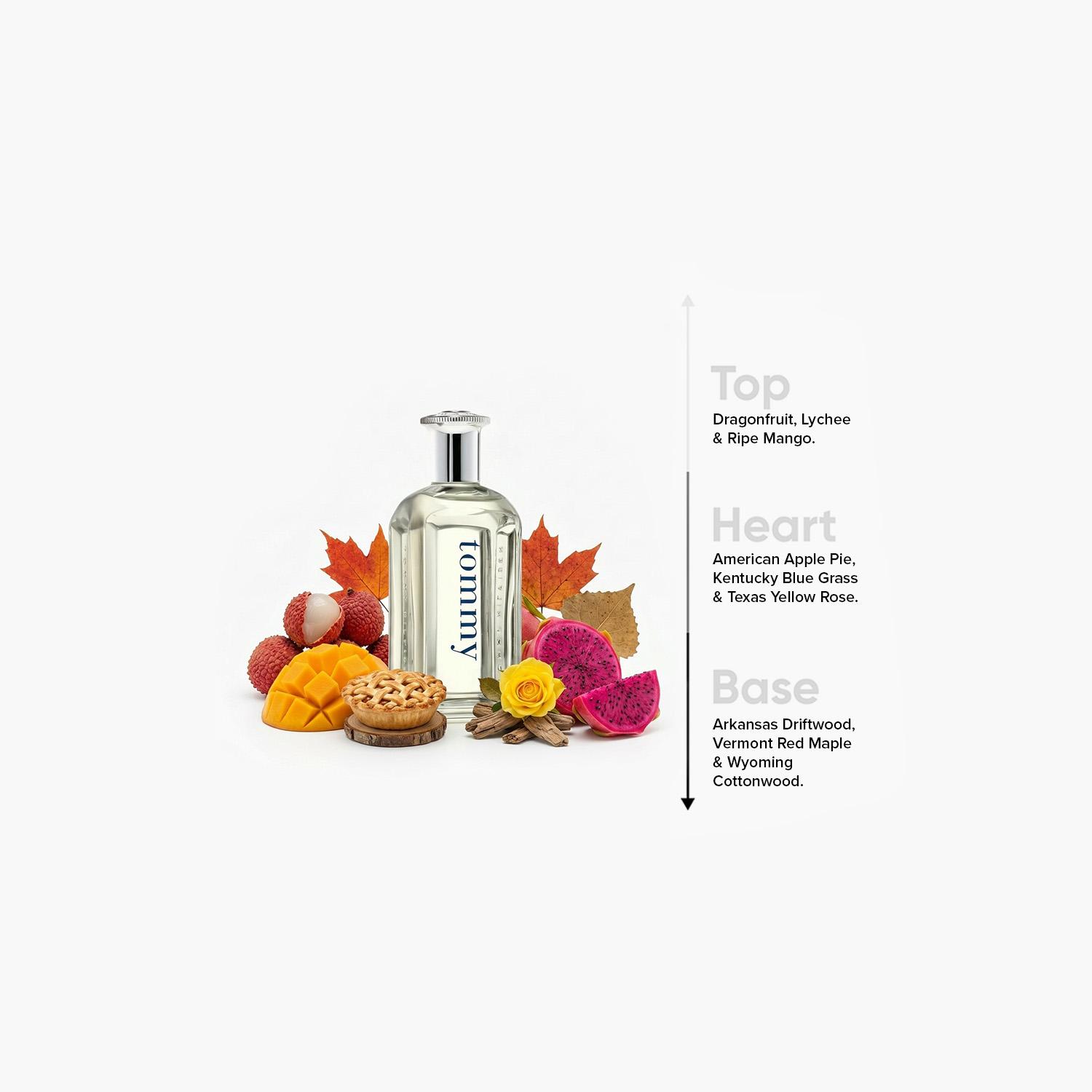 Tommy Hilfiger Tommy Eau de Toilette Spray for Men - 100 ml-beautyandpersonalcare-fragrance-men-image-4