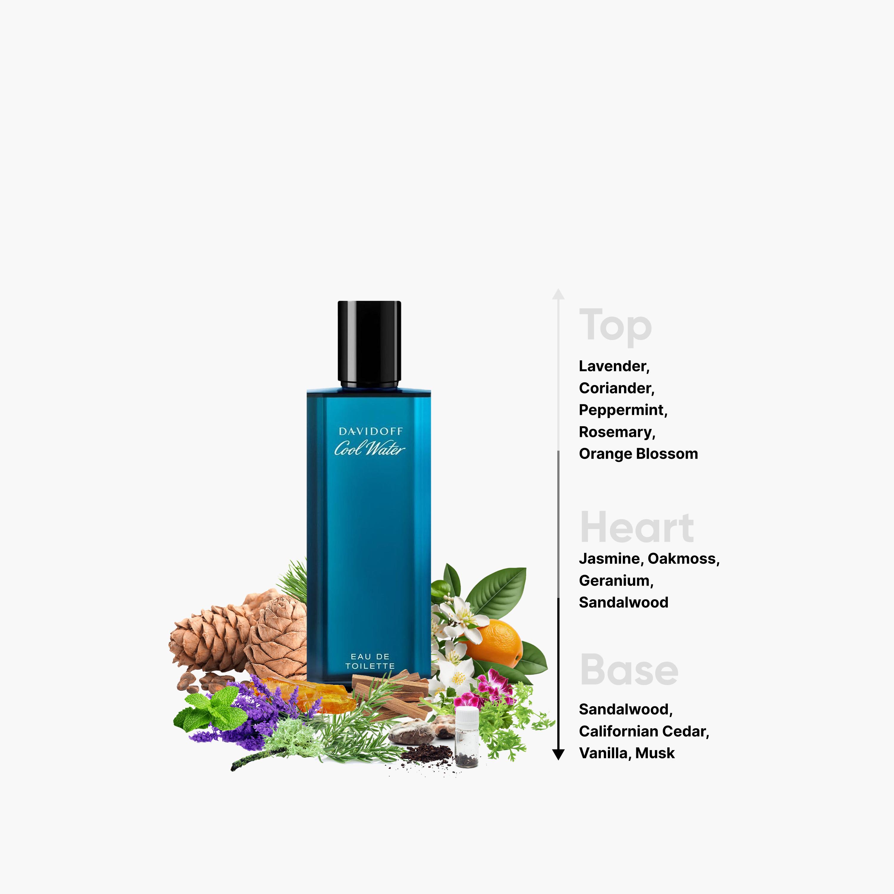 Davidoff Cool Water Eau De Toilette Spray - 200 ml-beautyandpersonalcare-fragrance-men-image-4