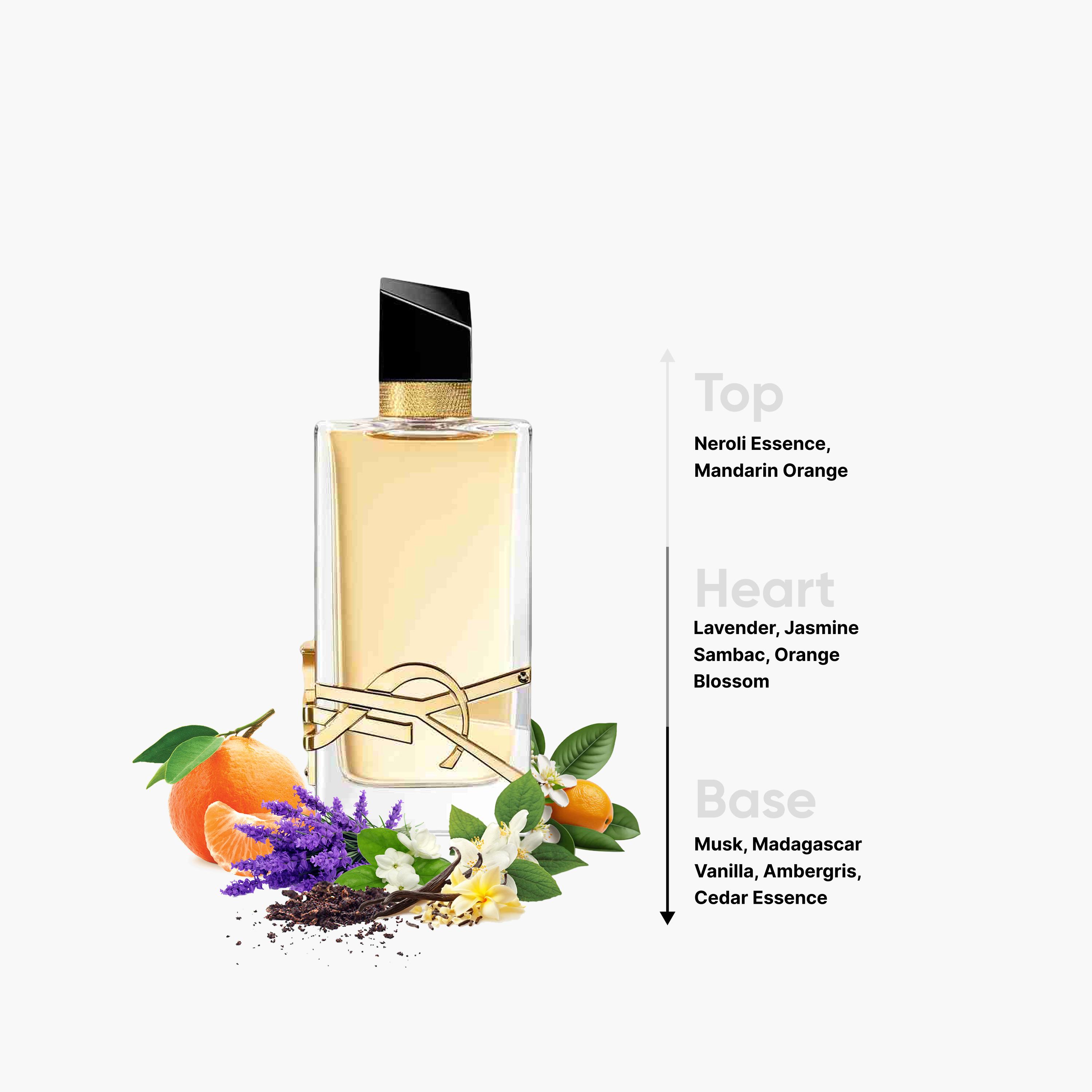 Yves Saint Laurent Libre Eau De Parfum for Women - 90 ml-beautyandpersonalcare-fragrance-women-image-4