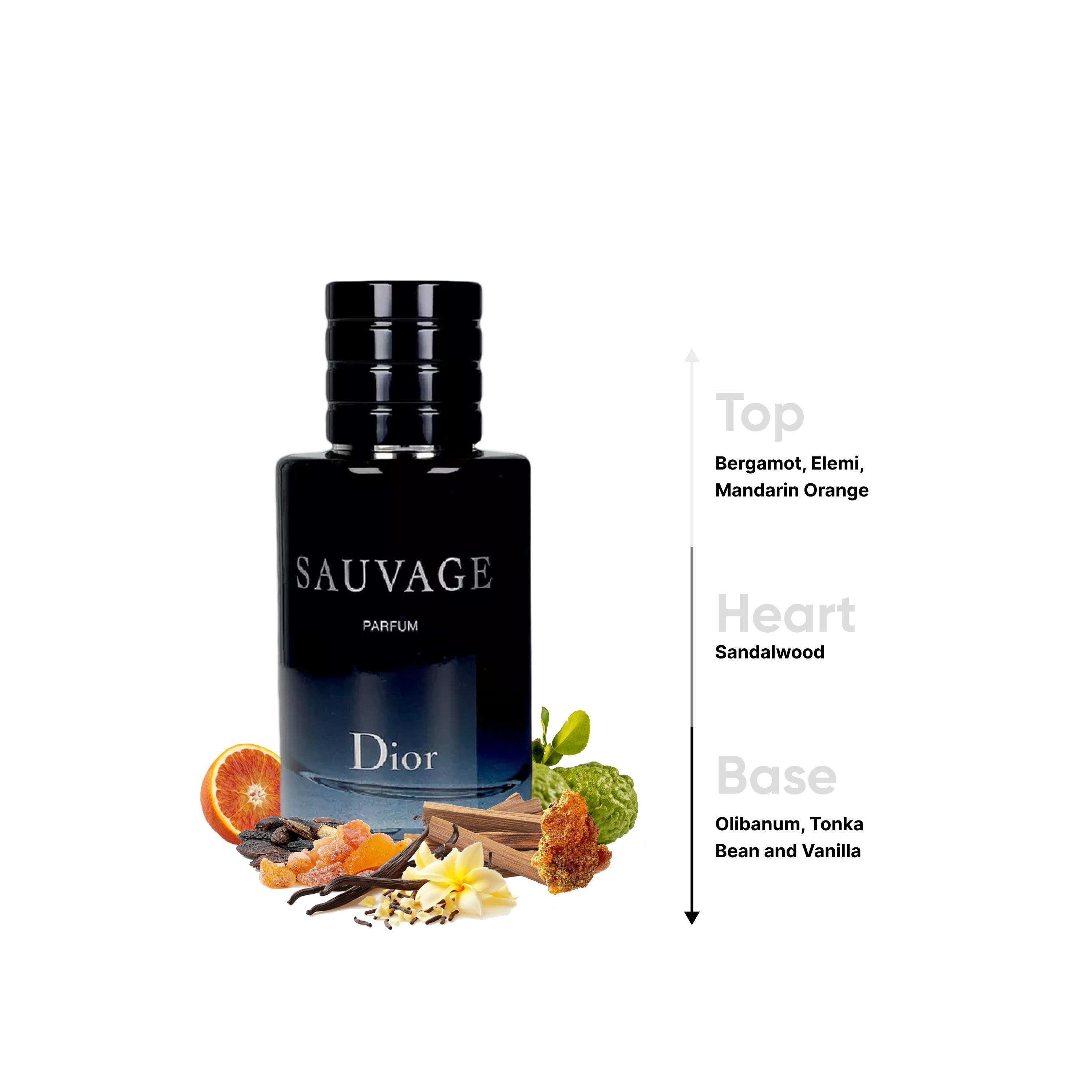 Christian Dior Sauvage Parfum Eau de parfum for Men - 100 ml-beautyandpersonalcare-fragrance-men-image-4