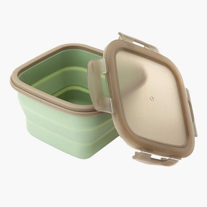 Feast Collapsible Lunch Box - 14x14x4 cms
