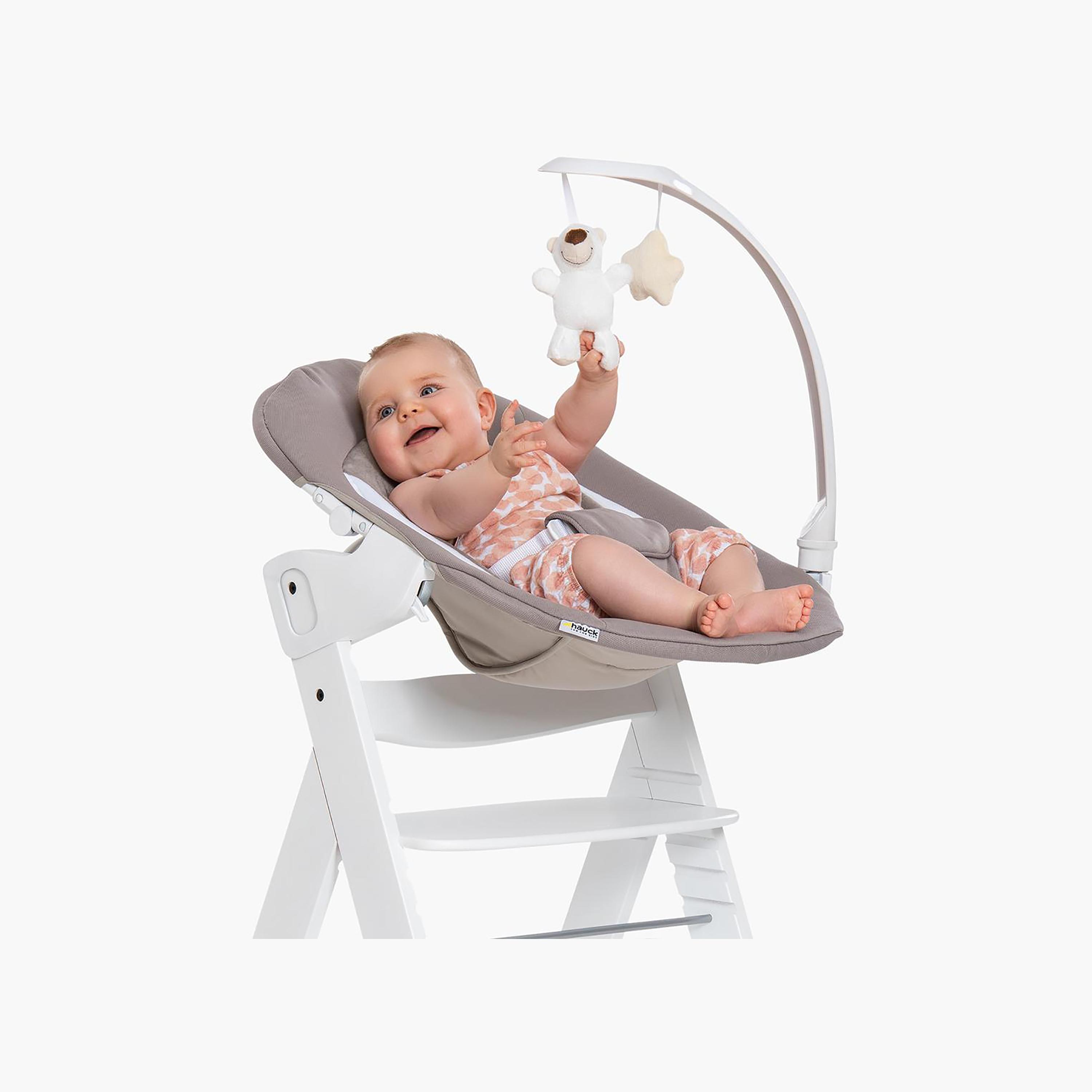 hauck Alpha Deluxe Bouncer-baby-infantactivity-bouncers-image-1