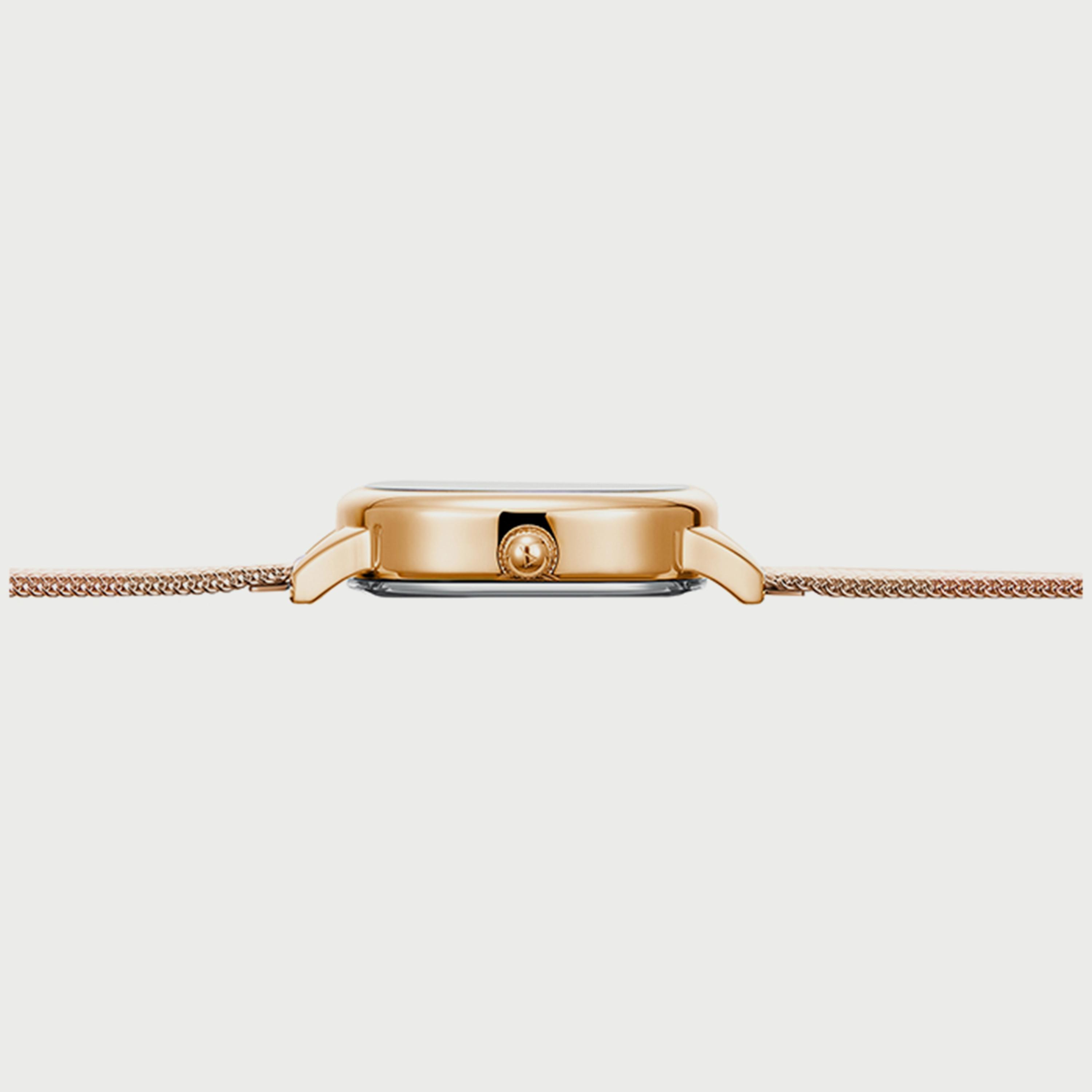 Ecstacy Women's Rose Gold Analog Mesh Strap Watch E22505-RMKK-women-watchesandjewellery-watches-image-2
