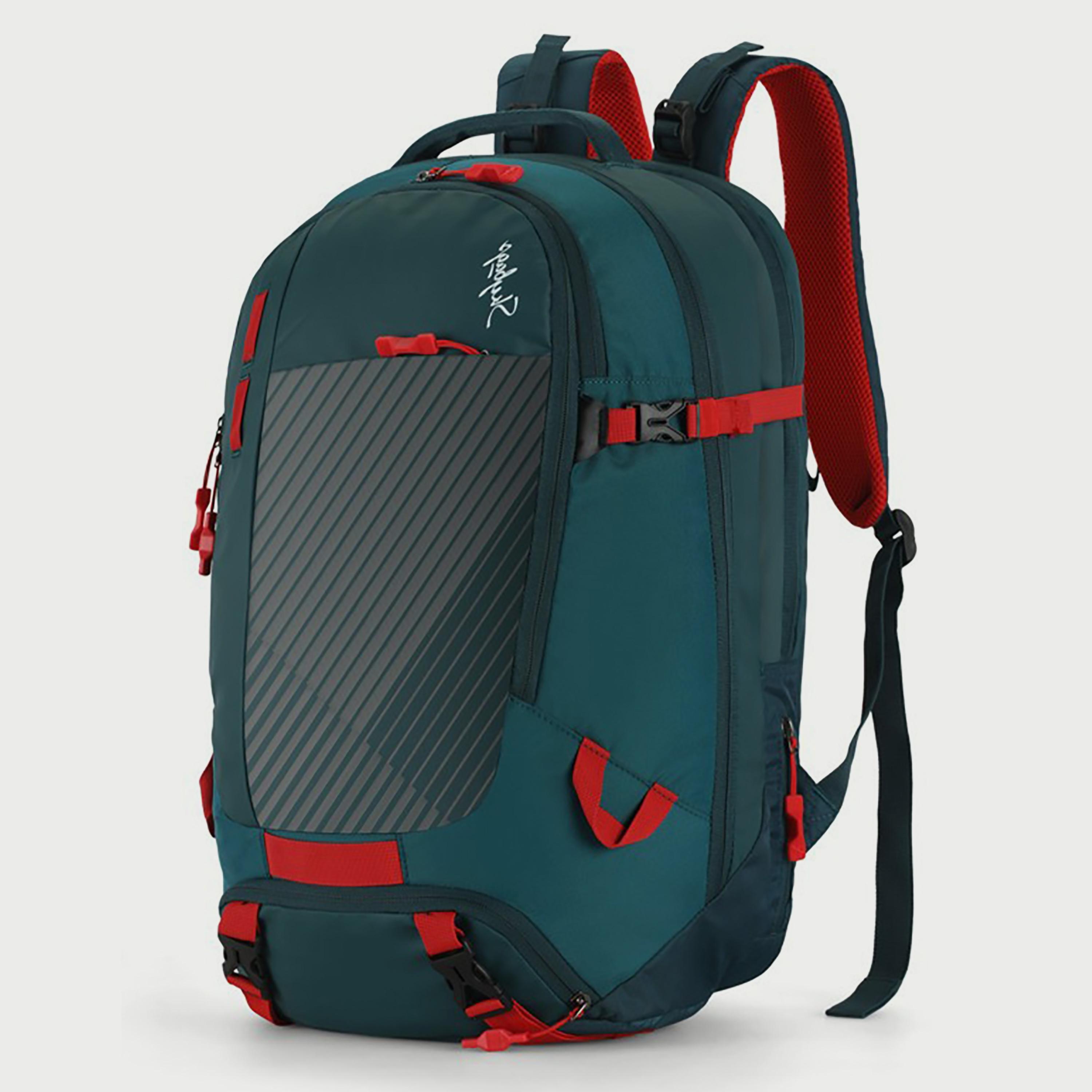 حقيبة ظهر Skybags مخططة مع أحزمة كتف مبطنة ولوحة خلفية بسحاب للإغلاق باللون الأزرق المخضر-travel-luggagesandbags-backpacks-image-2