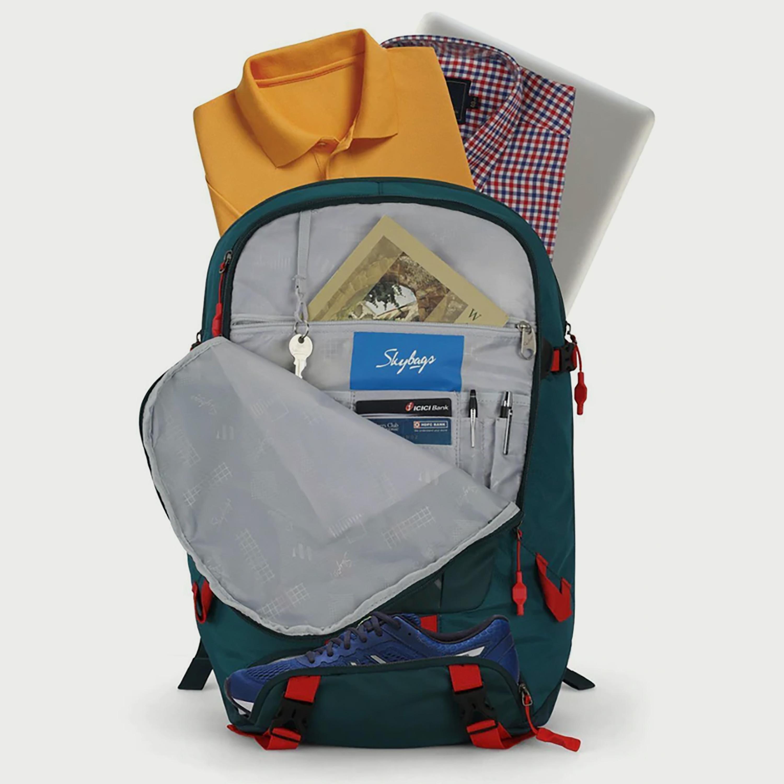 حقيبة ظهر Skybags مخططة مع أحزمة كتف مبطنة ولوحة خلفية بسحاب للإغلاق باللون الأزرق المخضر-travel-luggagesandbags-backpacks-image-5