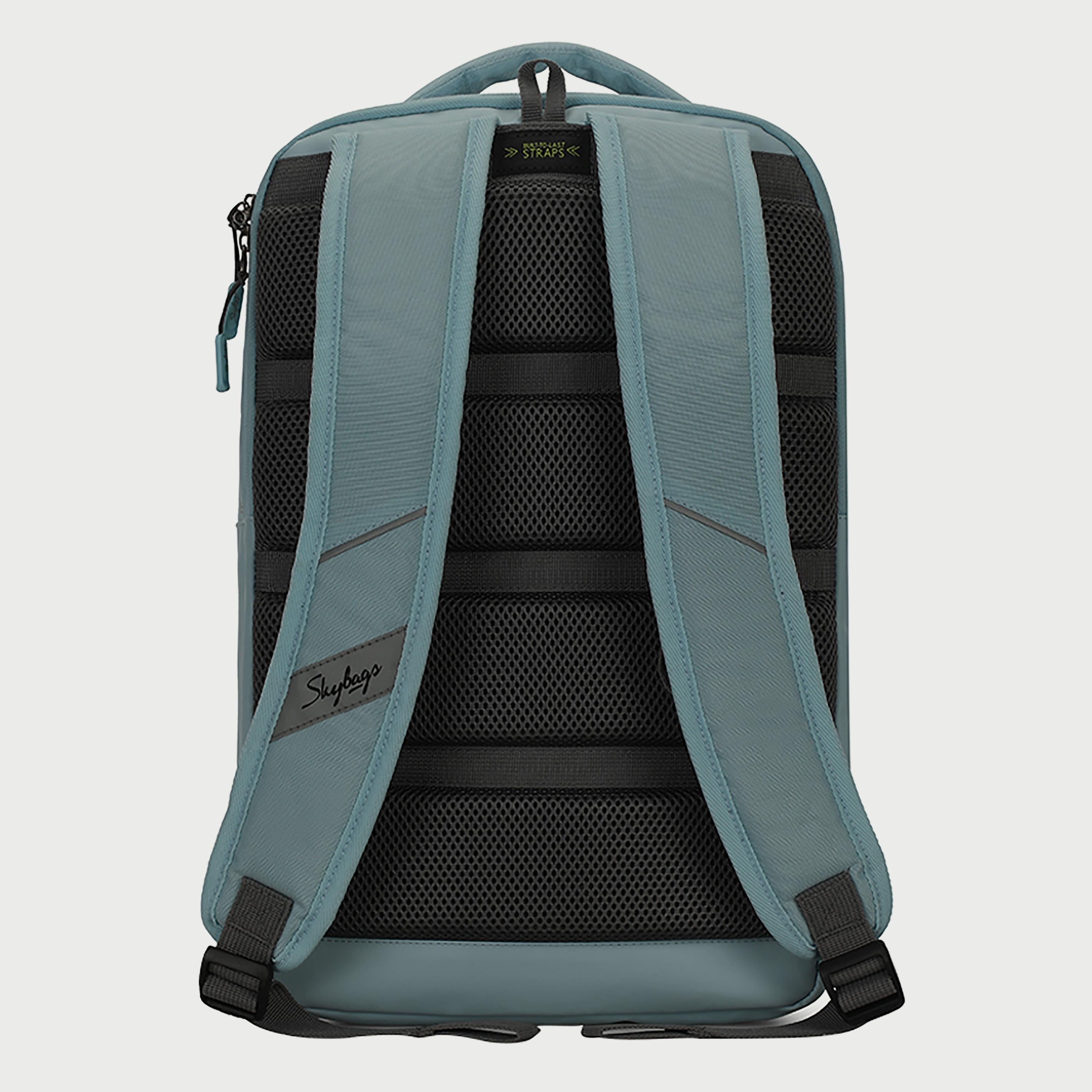 Skybags Striped Backpack with Padded Shoulder Straps and Back Panel Zip Closure in Blue-school-bagsandbackpacks-backpacks-image-4