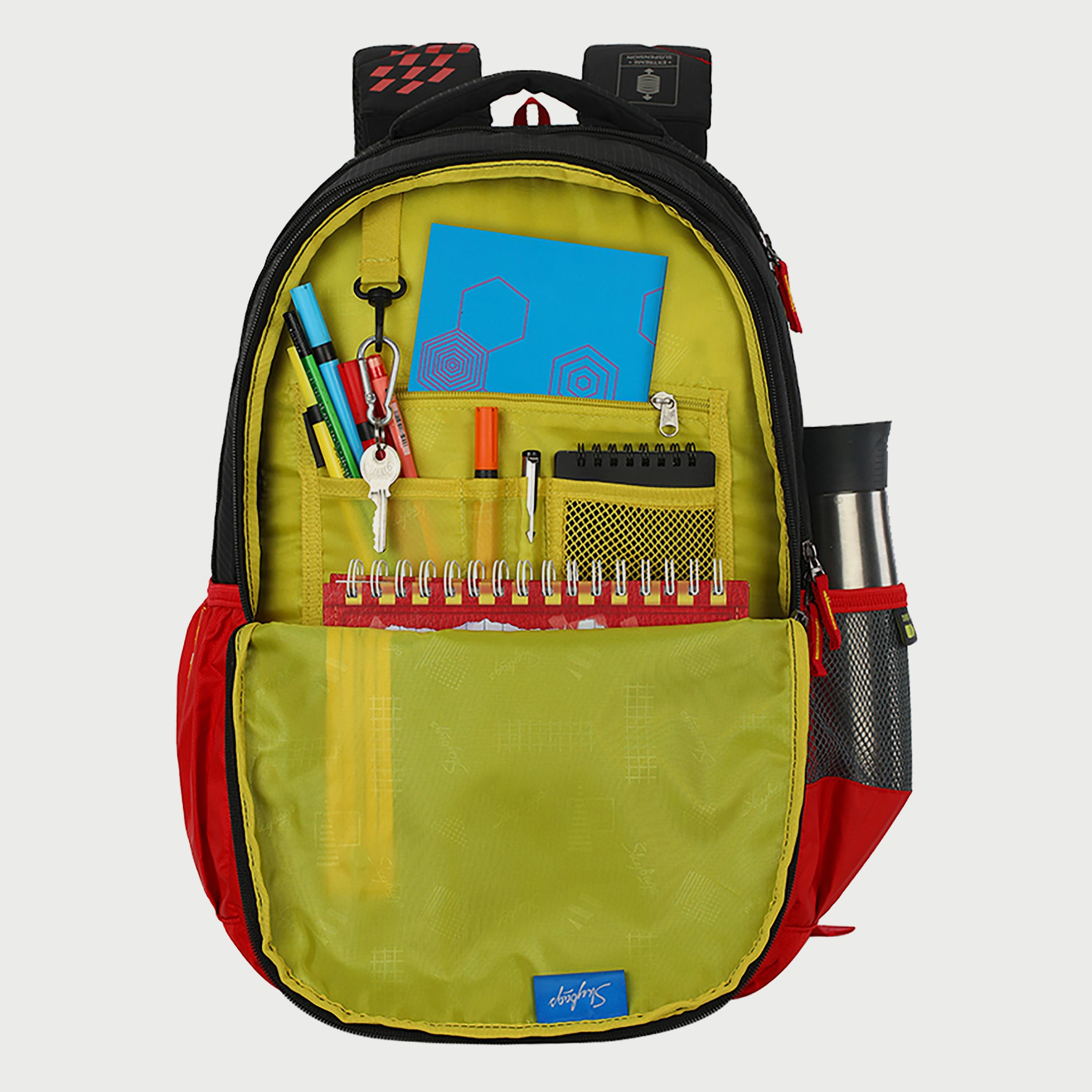 Skybags Logo Backpack with Padded Shoulder Straps and Back Panel Zip Closure in Black-travel-luggagesandbags-backpacks-image-5