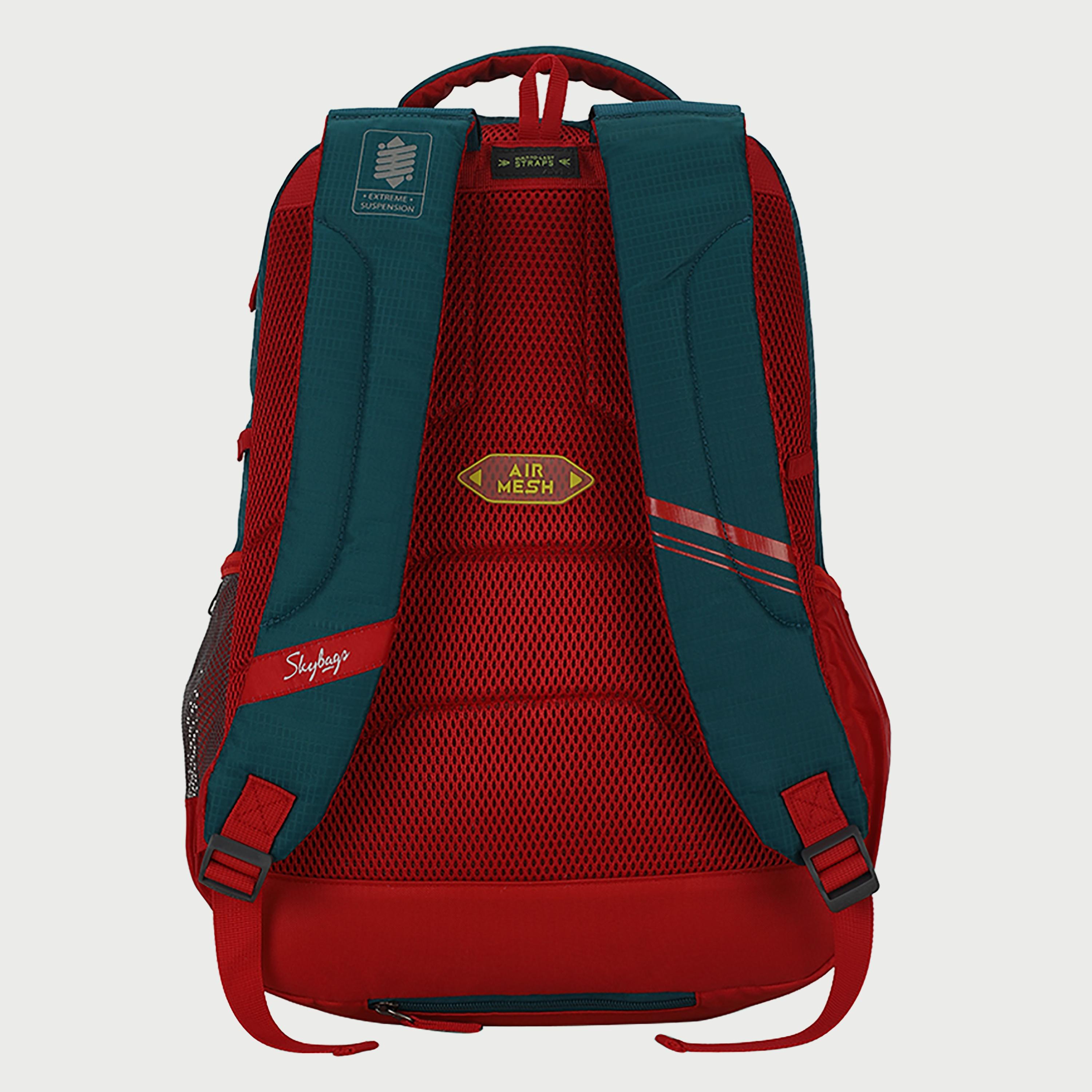Skybags Logo Backpack with Padded Shoulder Straps and Back Panel Zip Closure in Green-men-bags-image-4