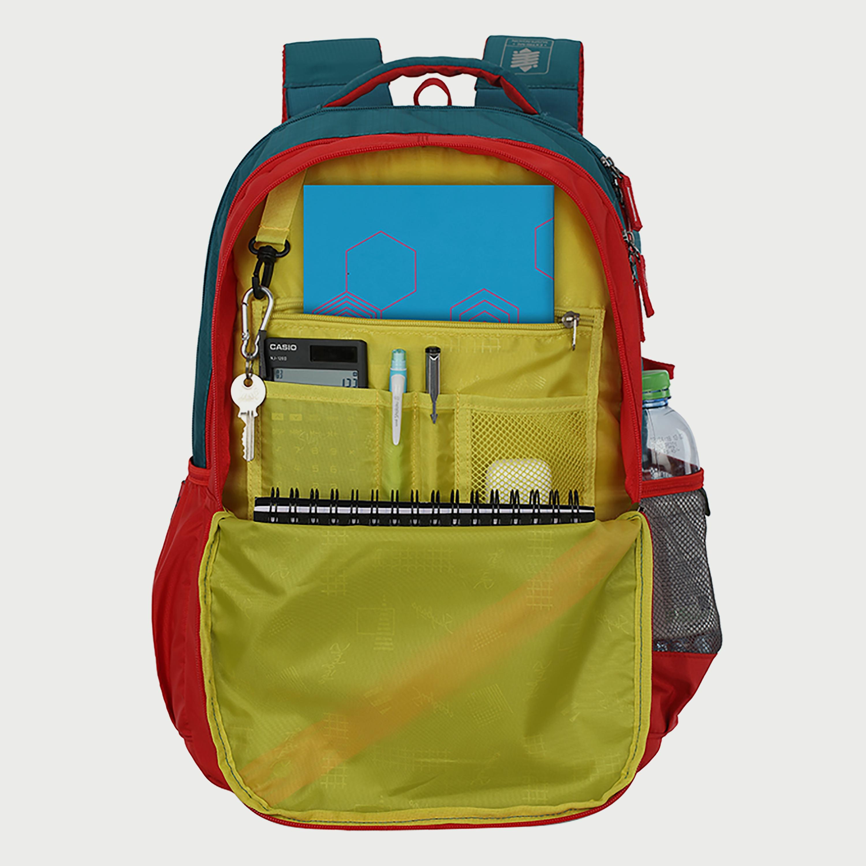 Skybags Logo Backpack with Padded Shoulder Straps and Back Panel Zip Closure in Green-men-bags-image-5