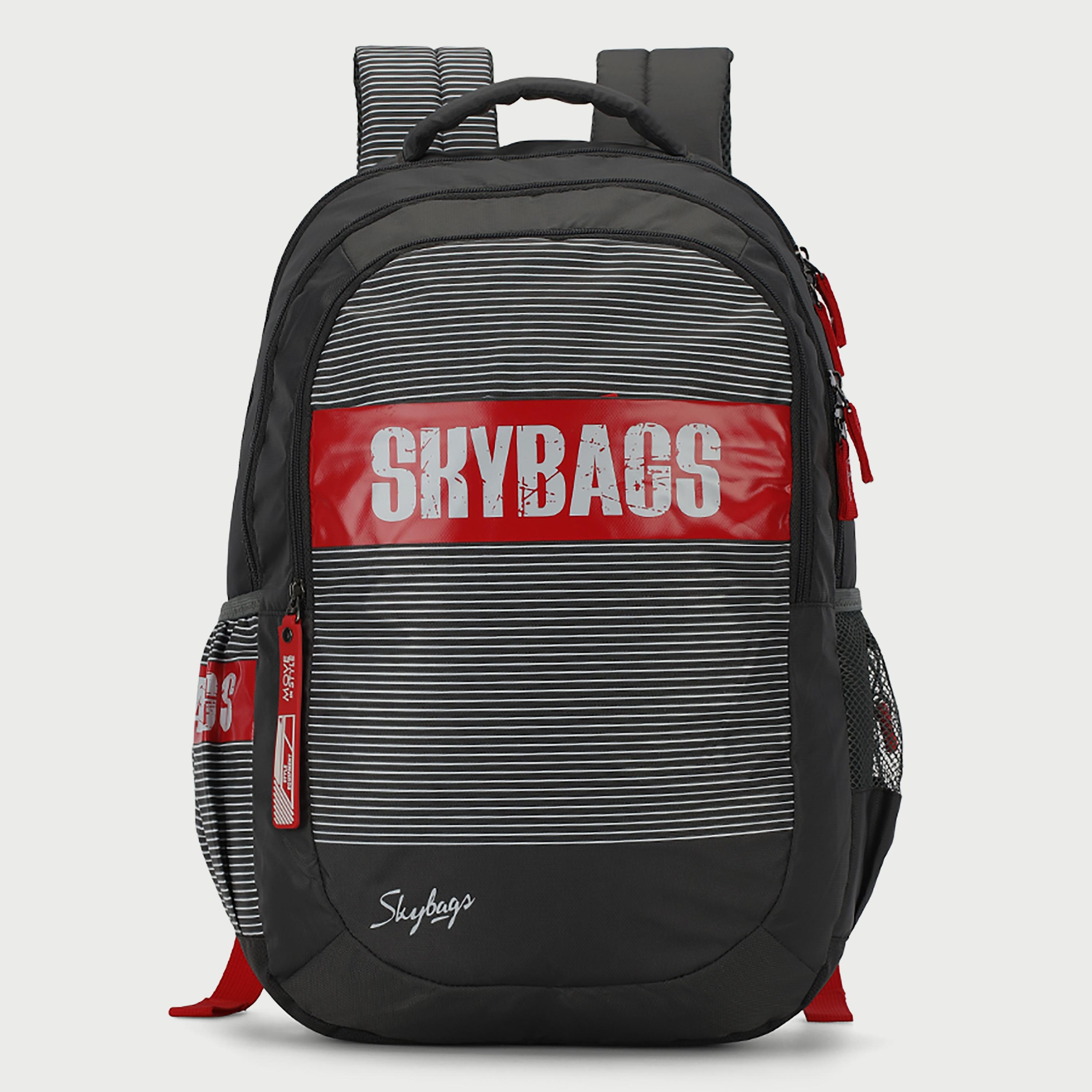 حقيبة ظهر Skybags مخططة مع أحزمة كتف مبطنة ولوحة خلفية بسحاب للإغلاق باللون الرمادي-travel-luggagesandbags-backpacks-image-1