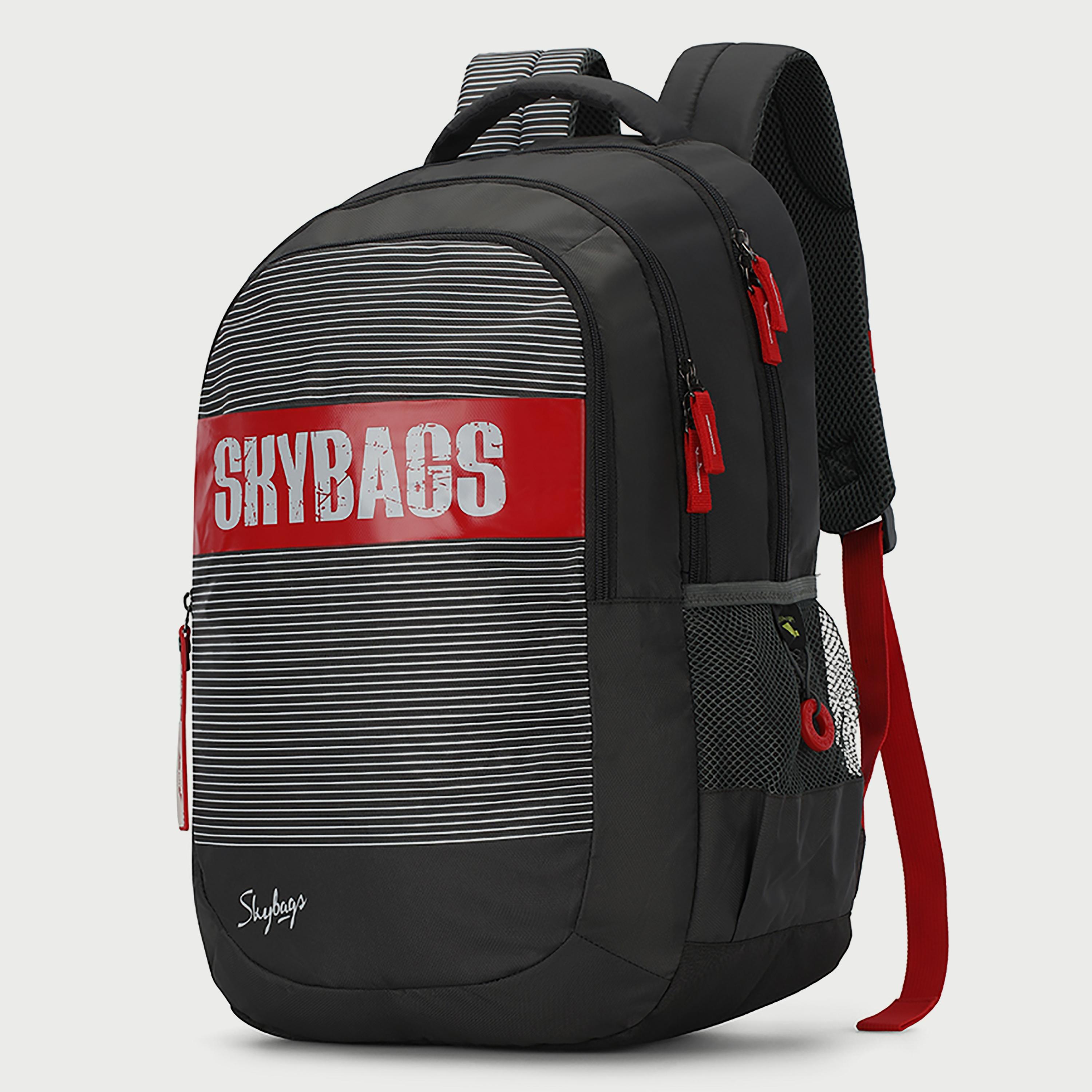 حقيبة ظهر Skybags مخططة مع أحزمة كتف مبطنة ولوحة خلفية بسحاب للإغلاق باللون الرمادي-travel-luggagesandbags-backpacks-image-2