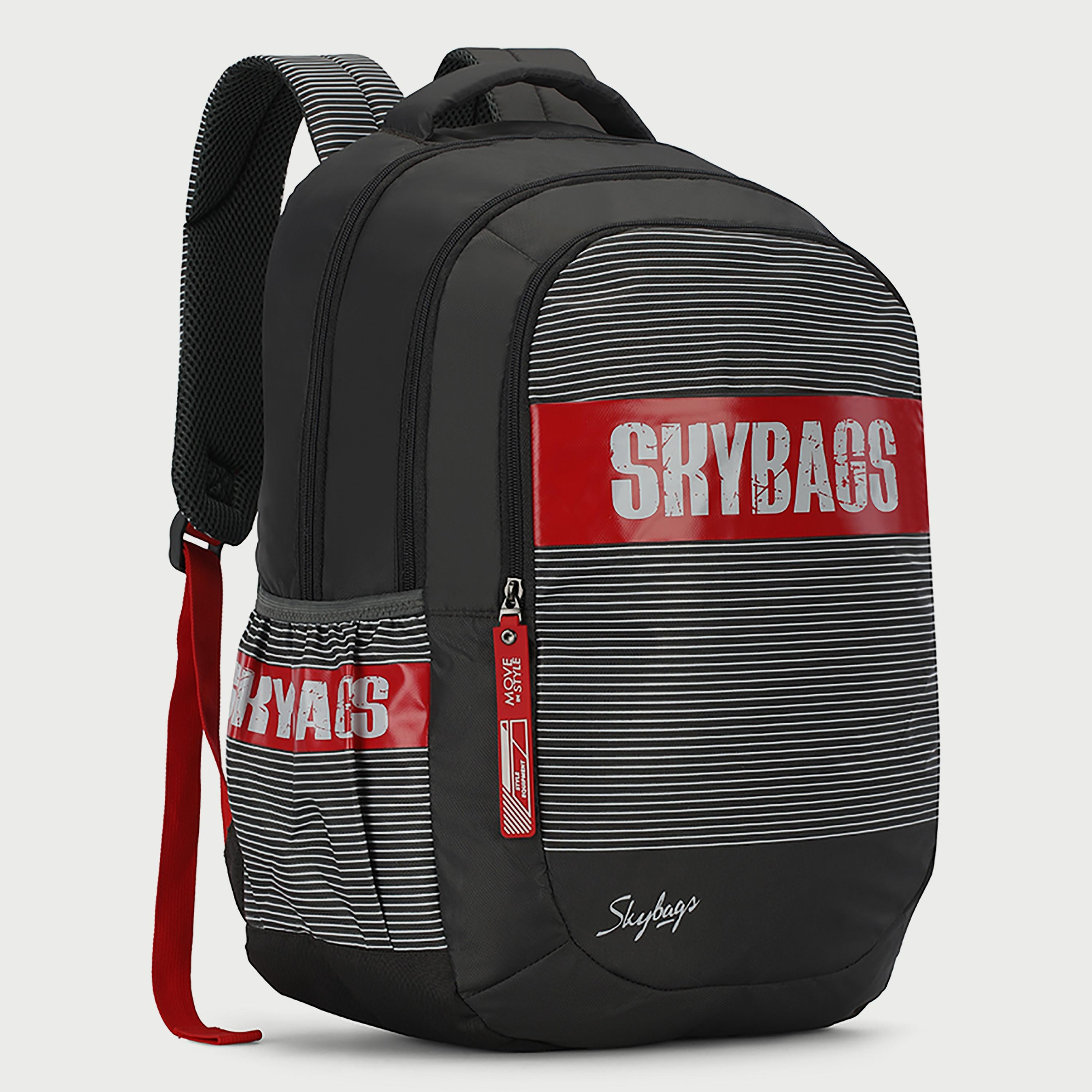 Skybags Striped Backpack with Padded Shoulder Straps and Back Panel Zip Closure in Grey-travel-luggagesandbags-backpacks-image-3