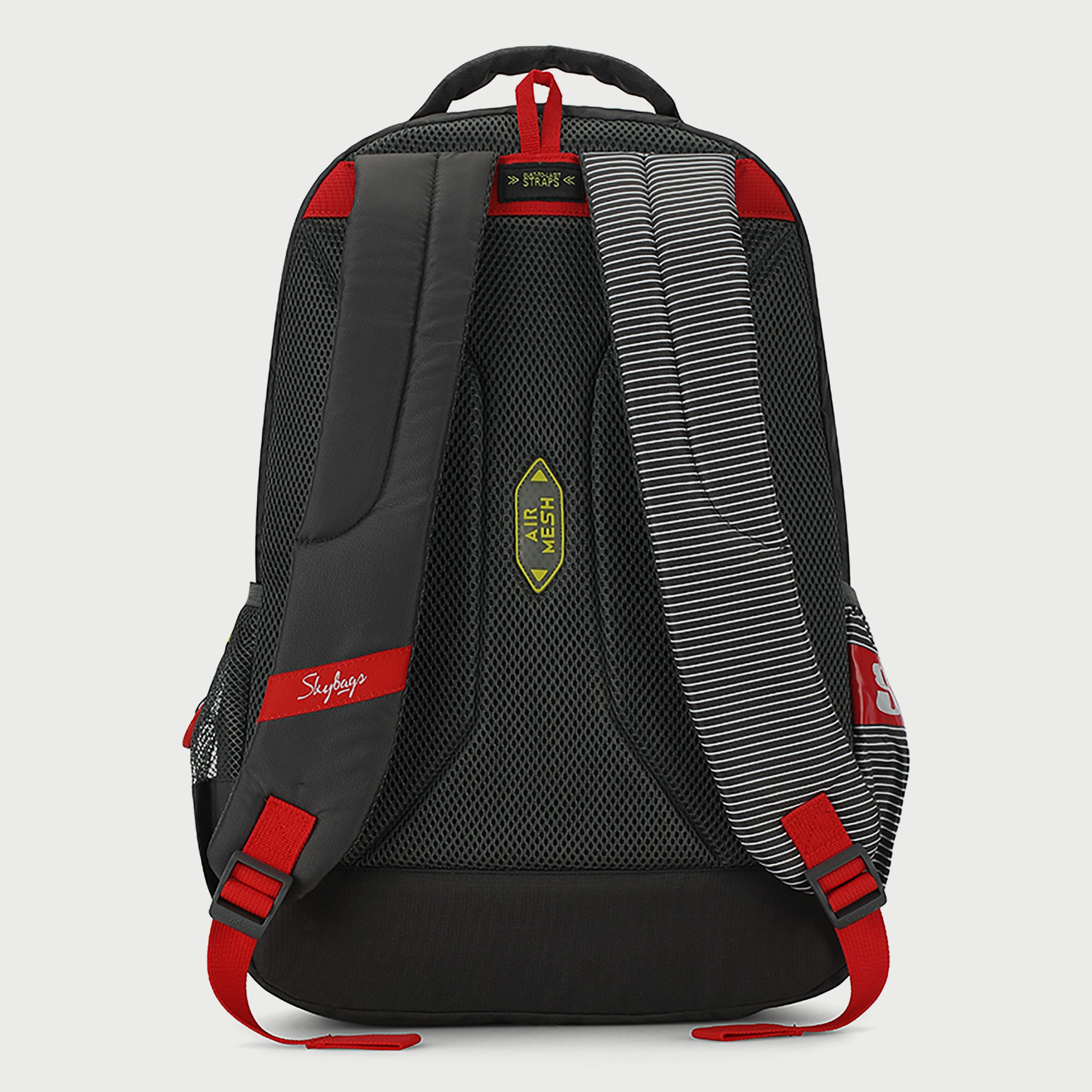 حقيبة ظهر Skybags مخططة مع أحزمة كتف مبطنة ولوحة خلفية بسحاب للإغلاق باللون الرمادي-travel-luggagesandbags-backpacks-image-4