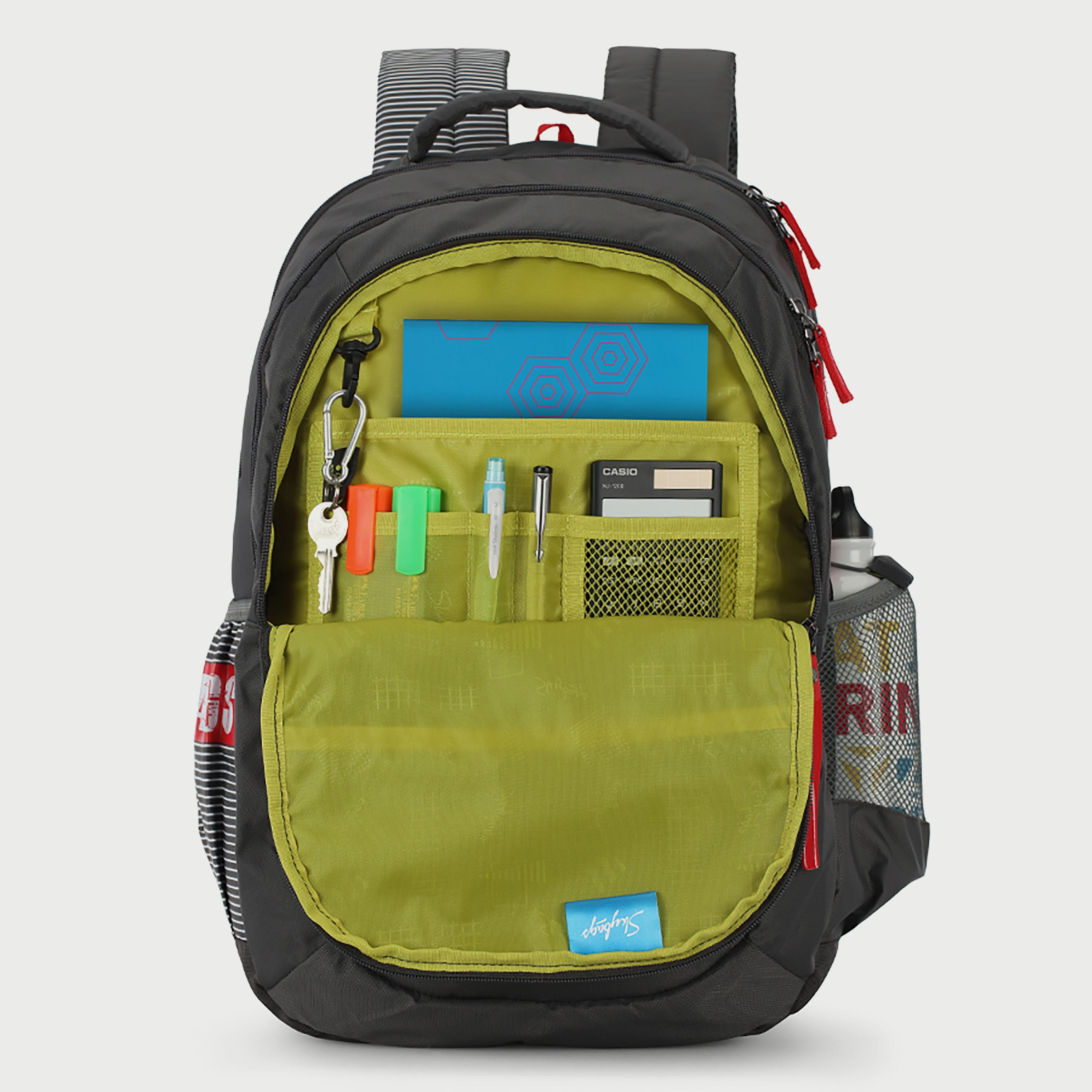 Skybags Striped Backpack with Padded Shoulder Straps and Back Panel Zip Closure in Grey-travel-luggagesandbags-backpacks-image-5