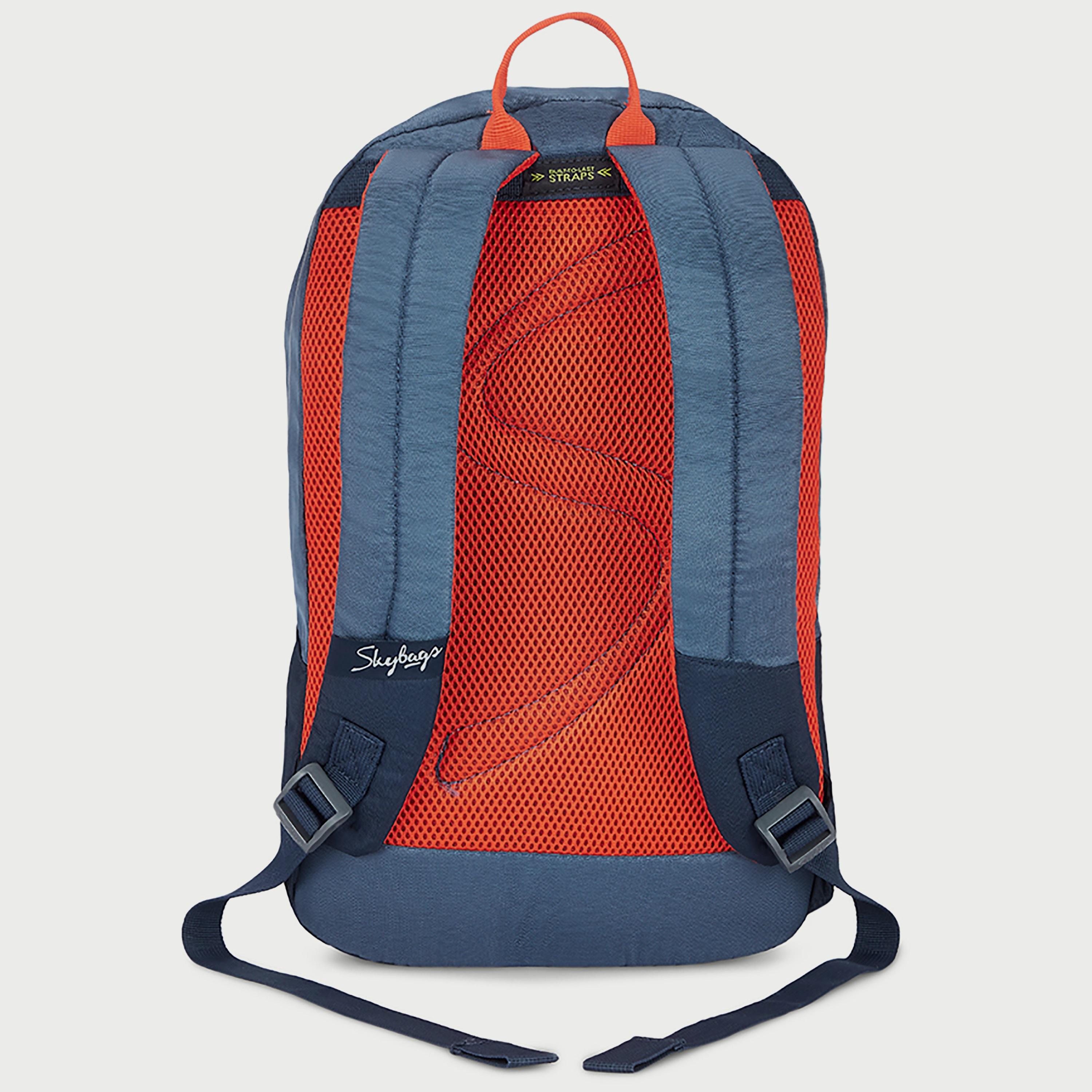 Skybags Printed Backpack with Padded Build-To-Last Straps and Back Panel Zip Closure in Blue-travel-luggagesandbags-backpacks-image-6