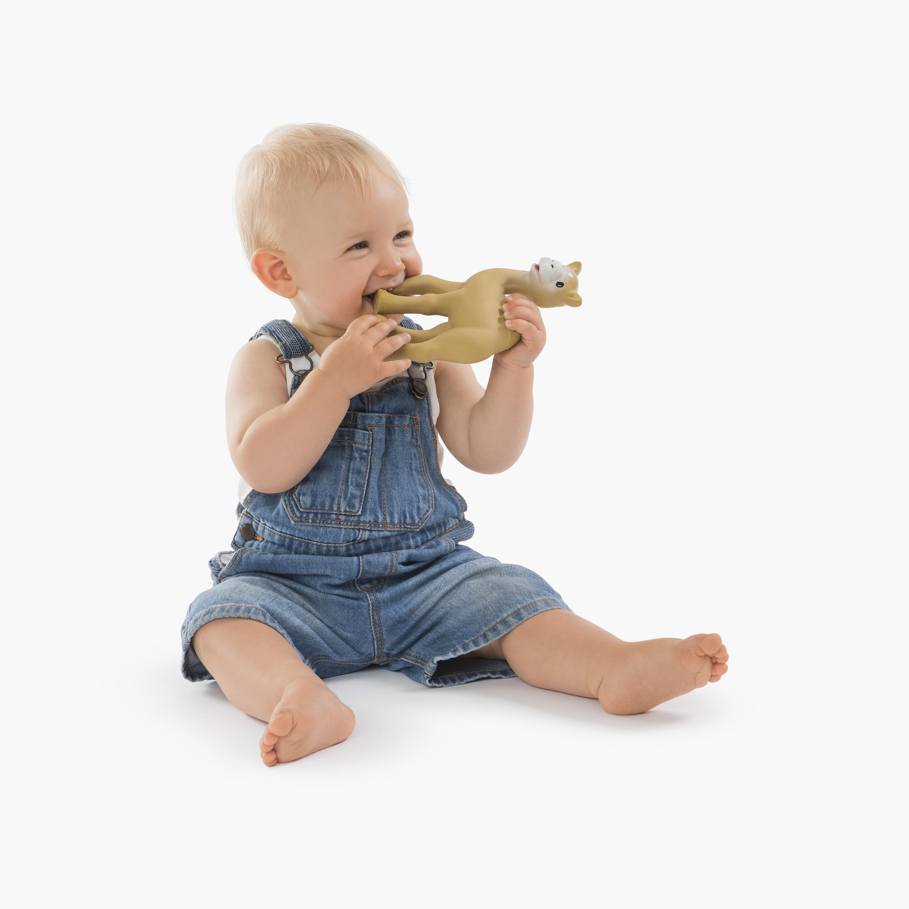 Sophie La Girafe Il Etait Une Fois Al'Thir-baby-feeding-teethers-image-5