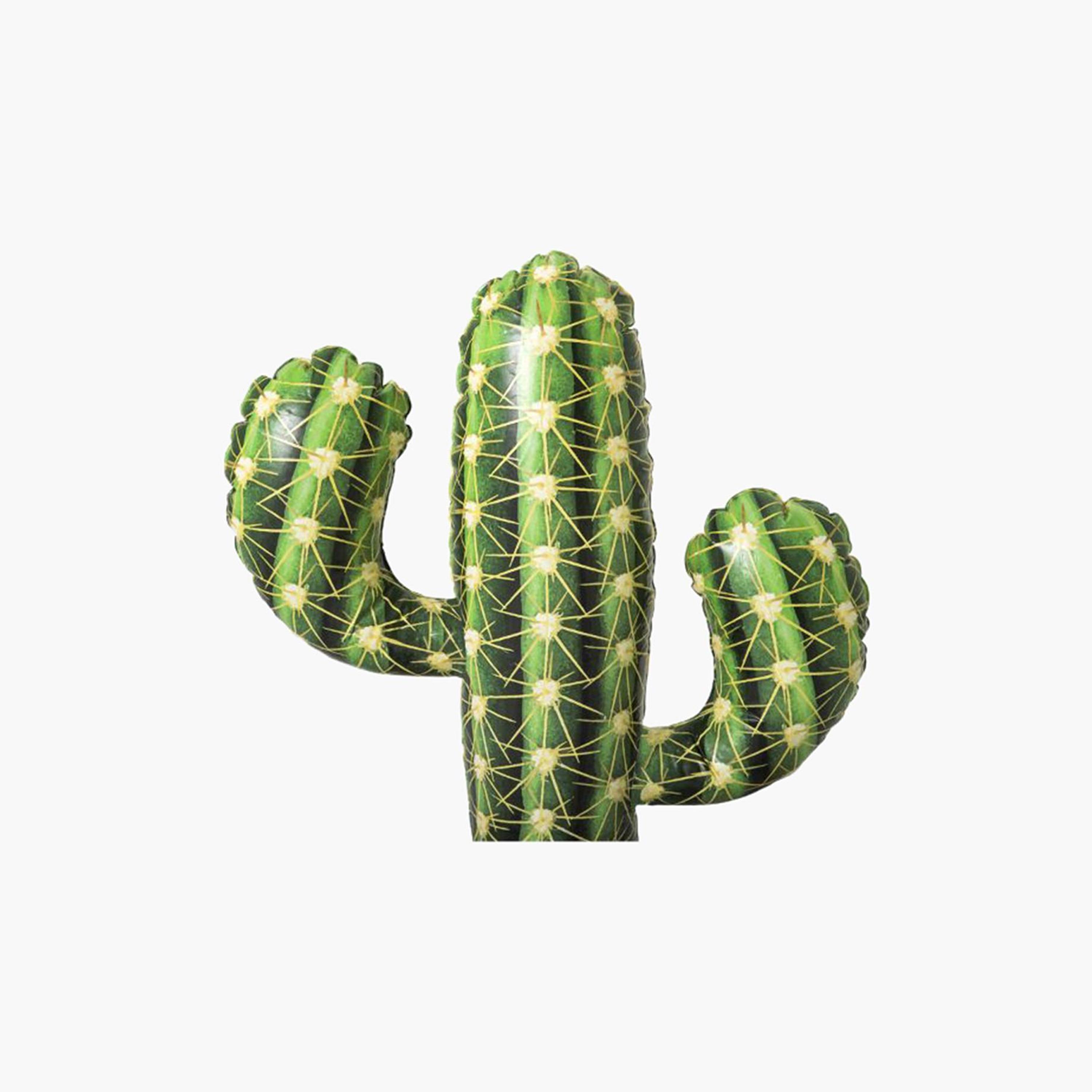 Bestway Spiky Saguaro Inflatable Drink Float - 94x70 cms-toys-outdoor-poolandbeach-floatsandboats-image-3