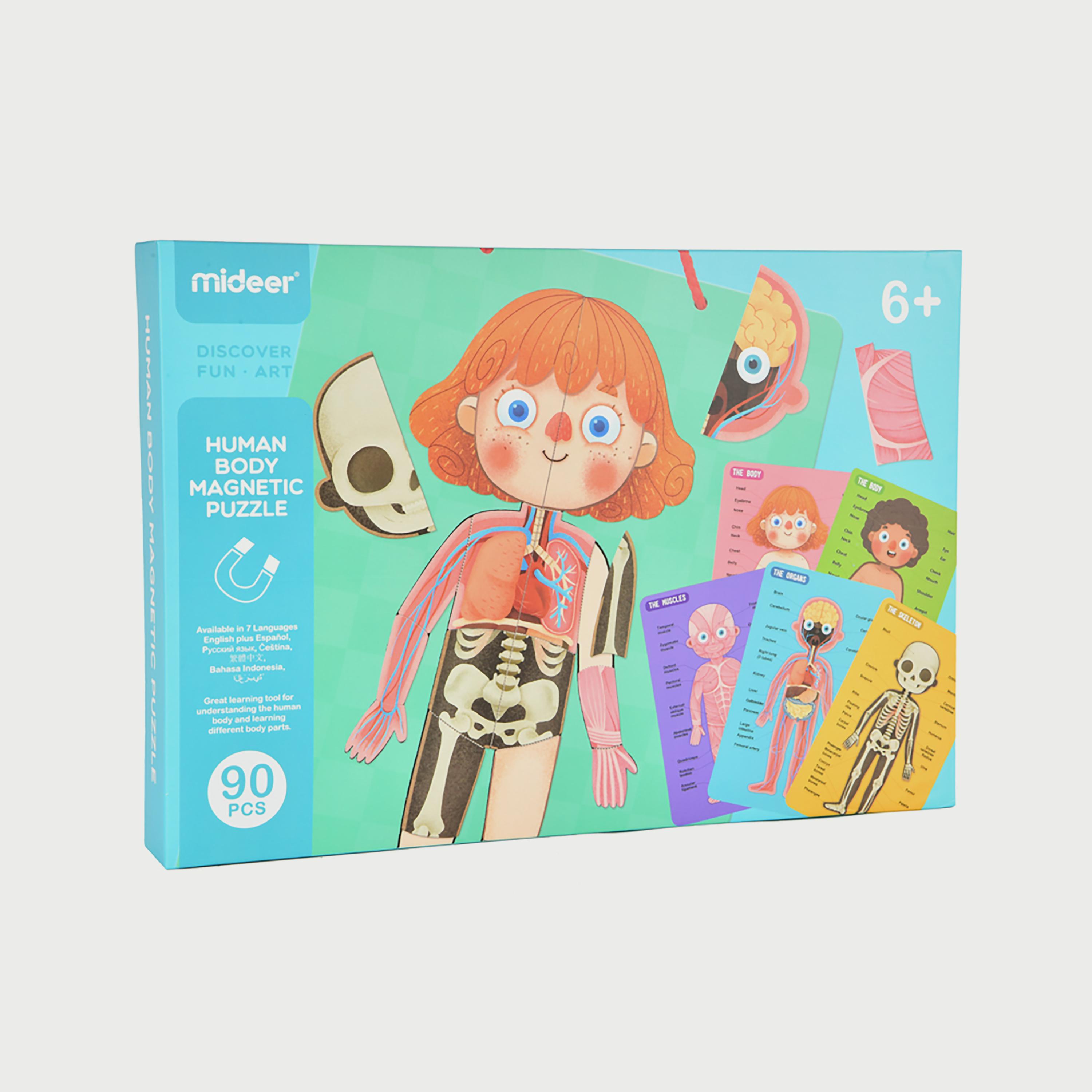 Mideer Body Magnetic puzzle-school-artsandcrafts-image-1