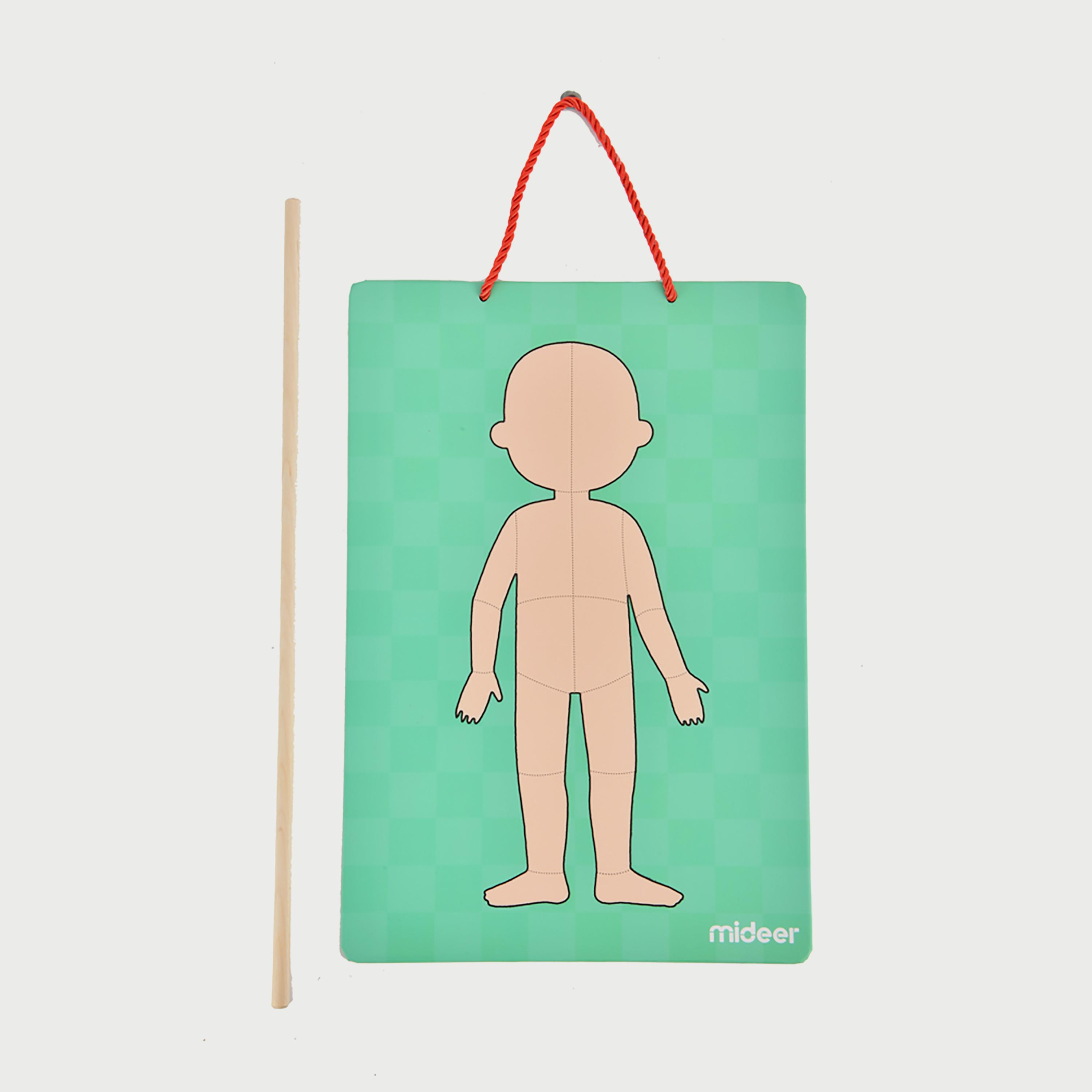 Mideer Body Magnetic puzzle-school-artsandcrafts-image-10