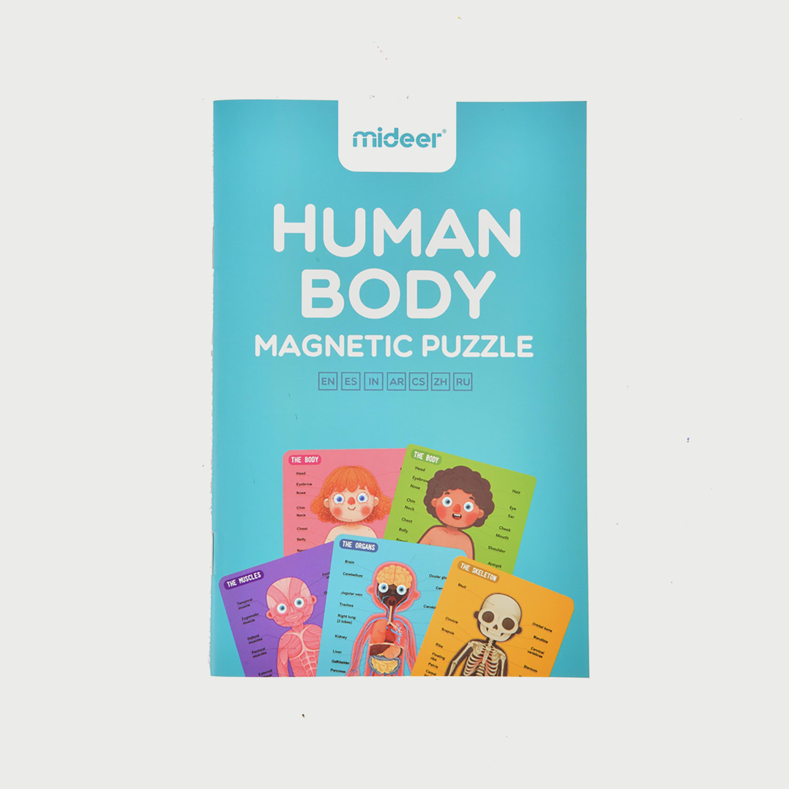 Mideer Body Magnetic puzzle-school-artsandcrafts-image-12