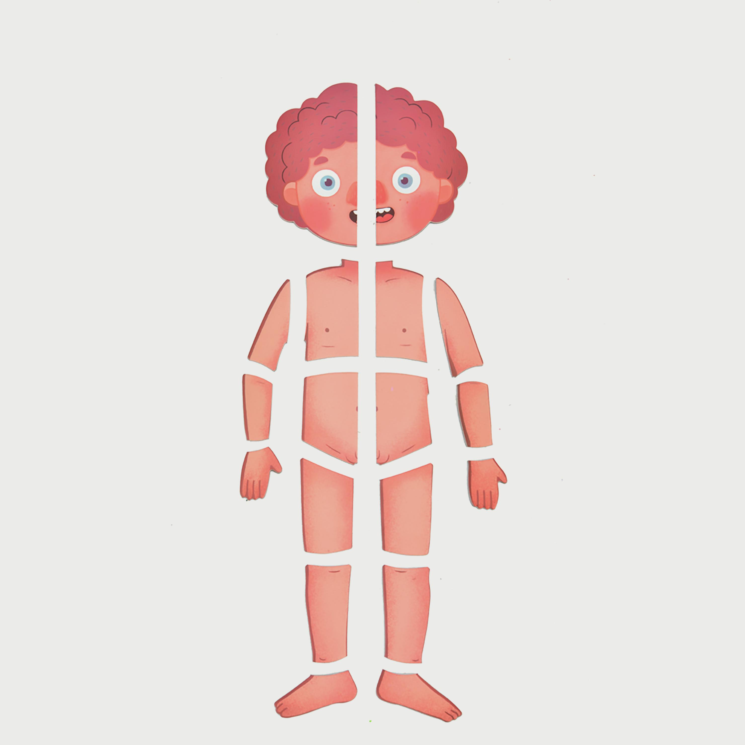 Mideer Body Magnetic puzzle-school-artsandcrafts-image-14