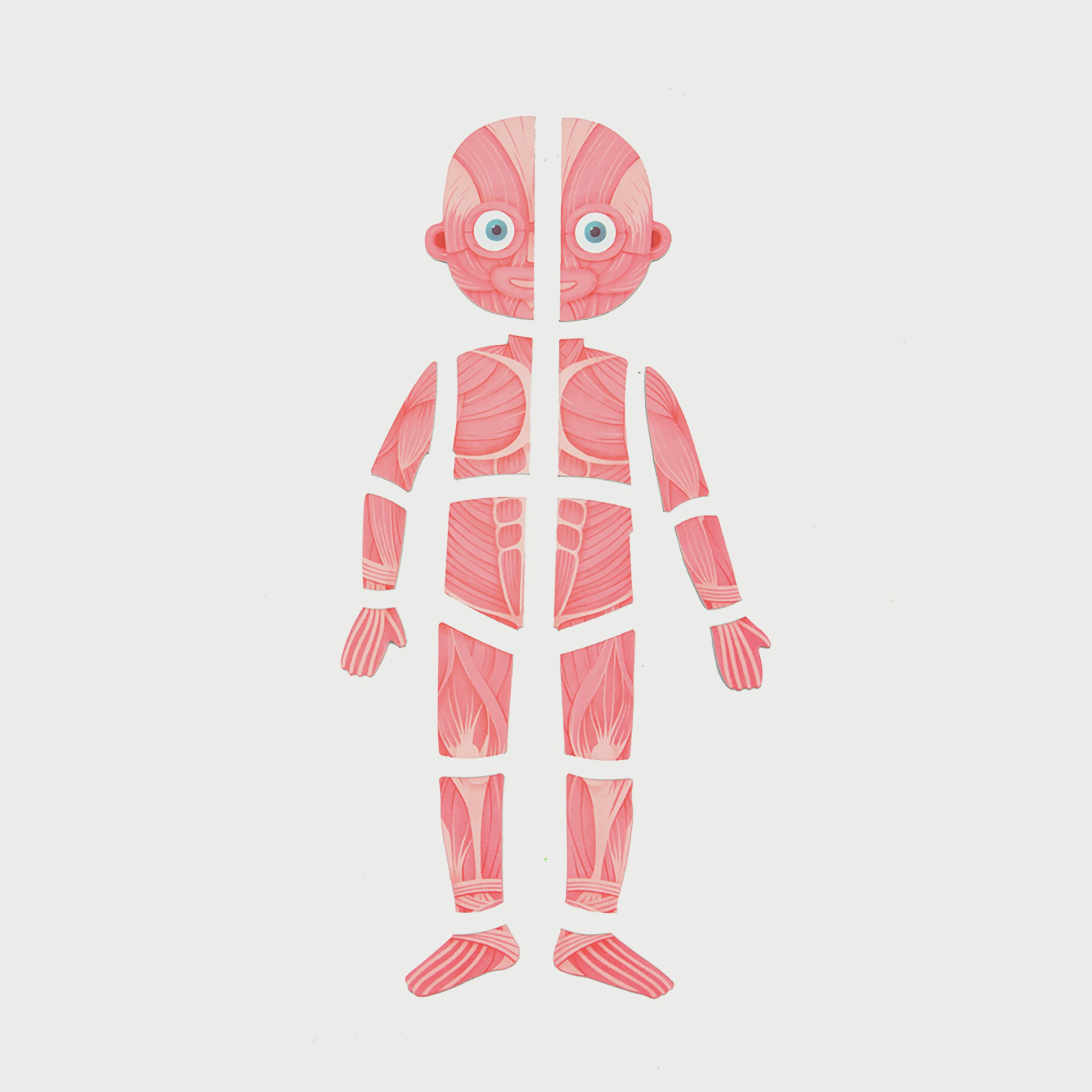 Mideer Body Magnetic puzzle-school-artsandcrafts-image-17