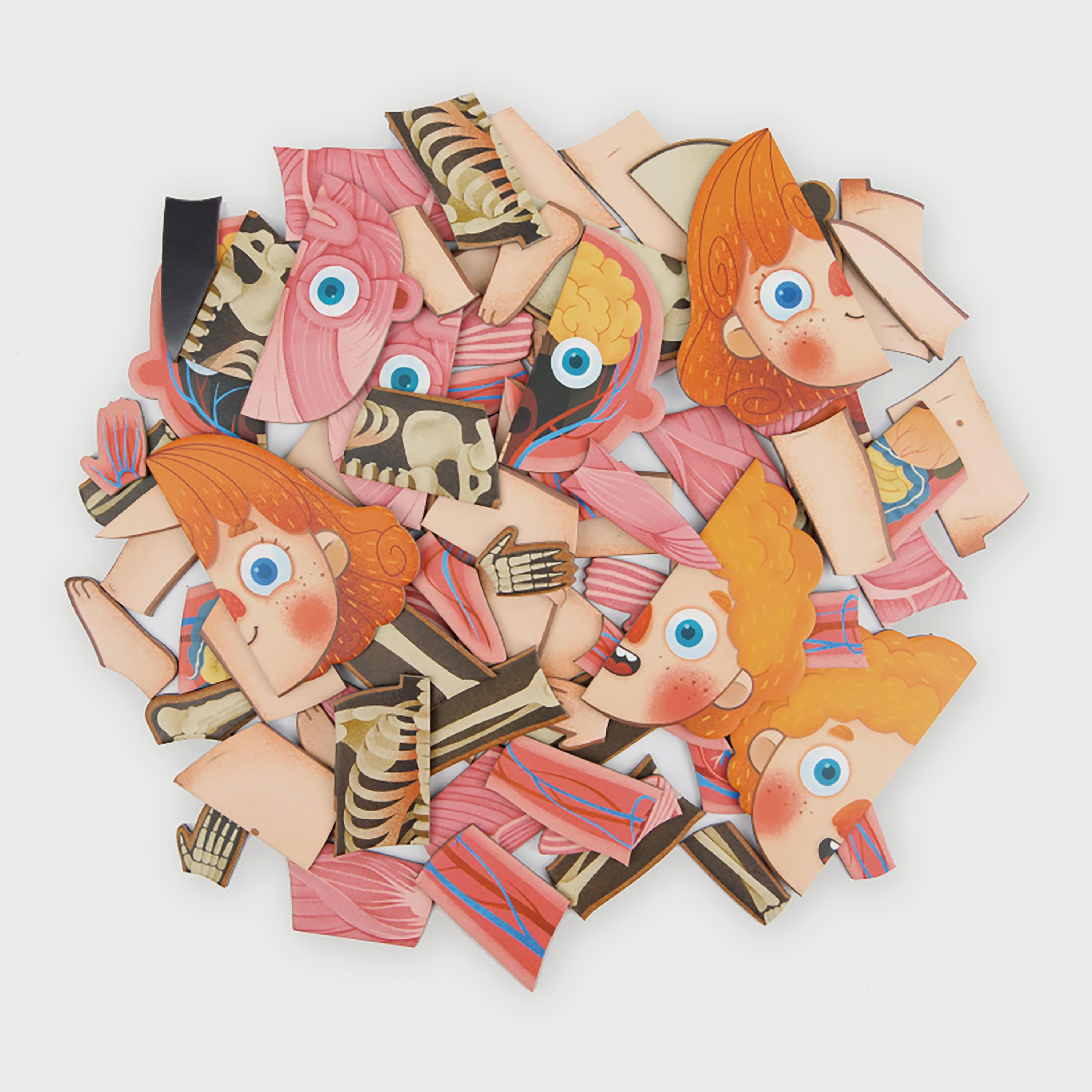 Mideer Body Magnetic puzzle-school-artsandcrafts-image-5