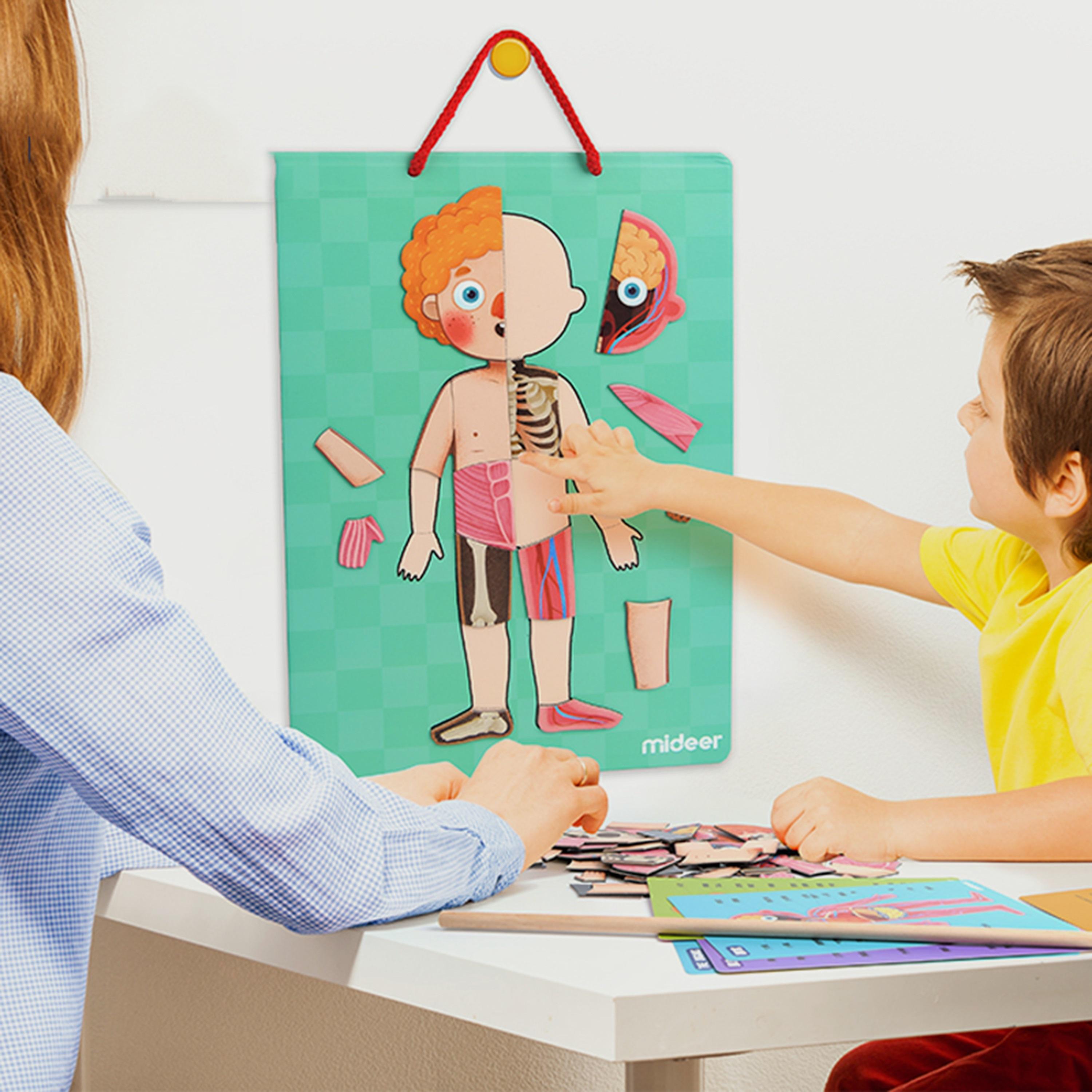Mideer Body Magnetic puzzle-school-artsandcrafts-image-6