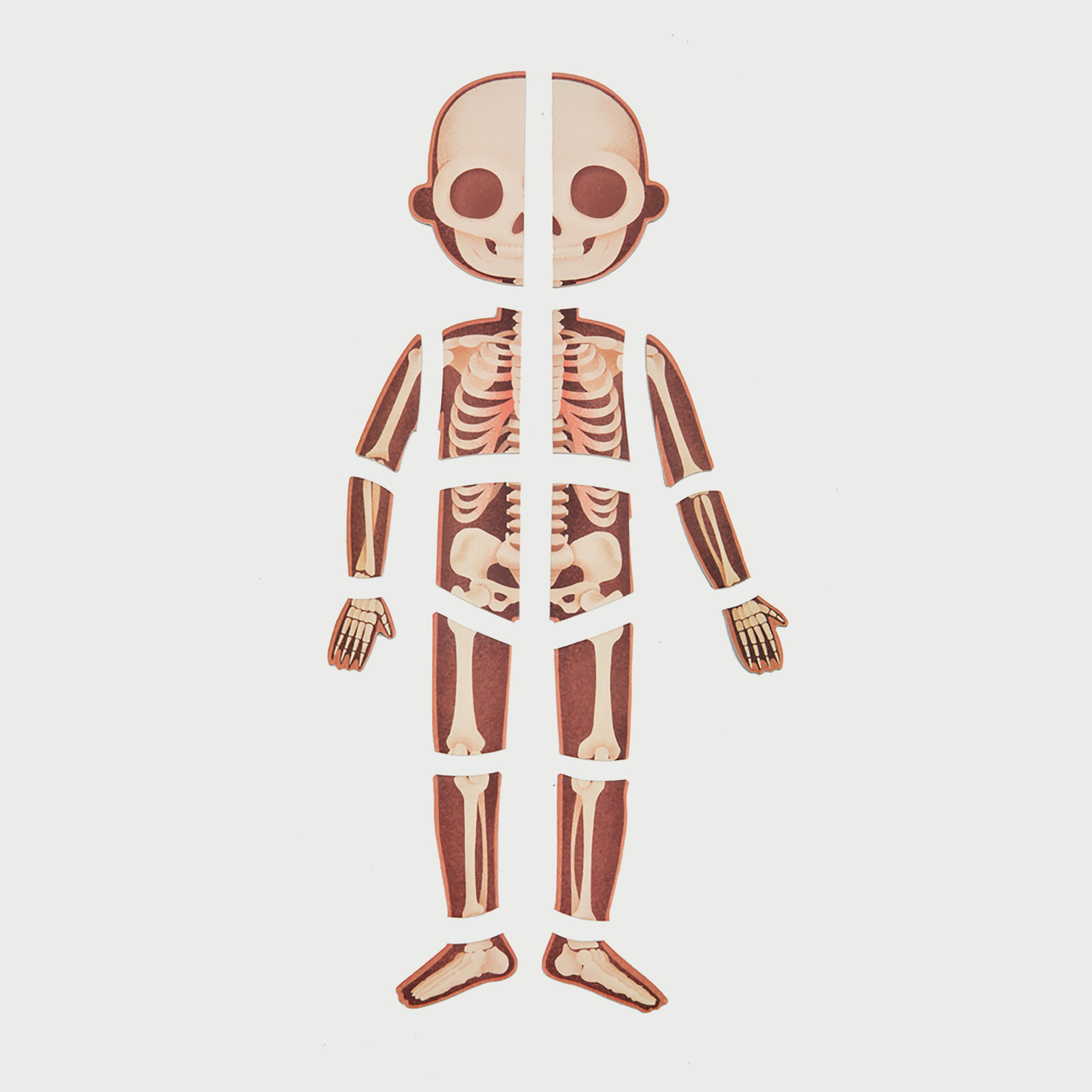 Mideer Body Magnetic puzzle-school-artsandcrafts-image-7