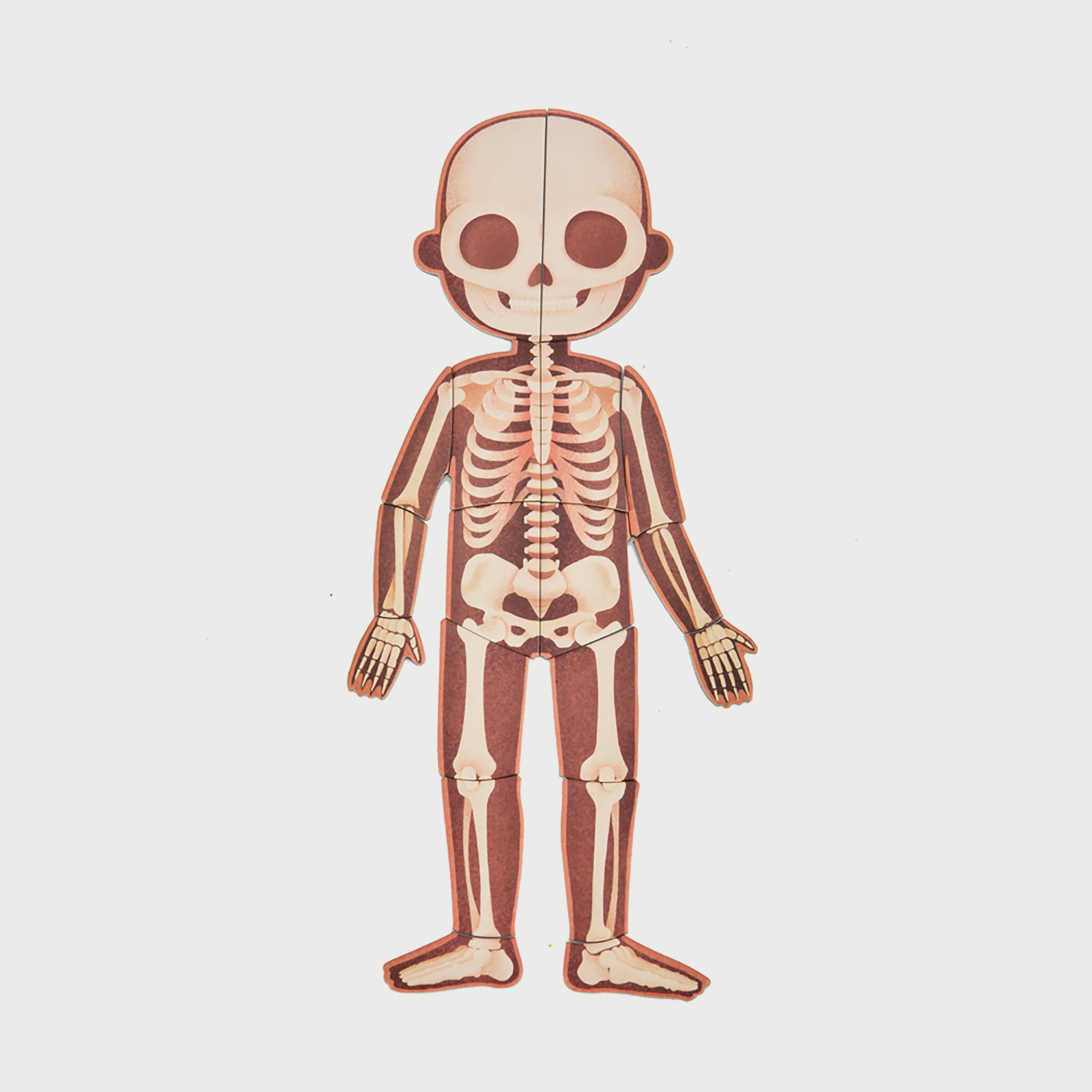 Mideer Body Magnetic puzzle-school-artsandcrafts-image-8
