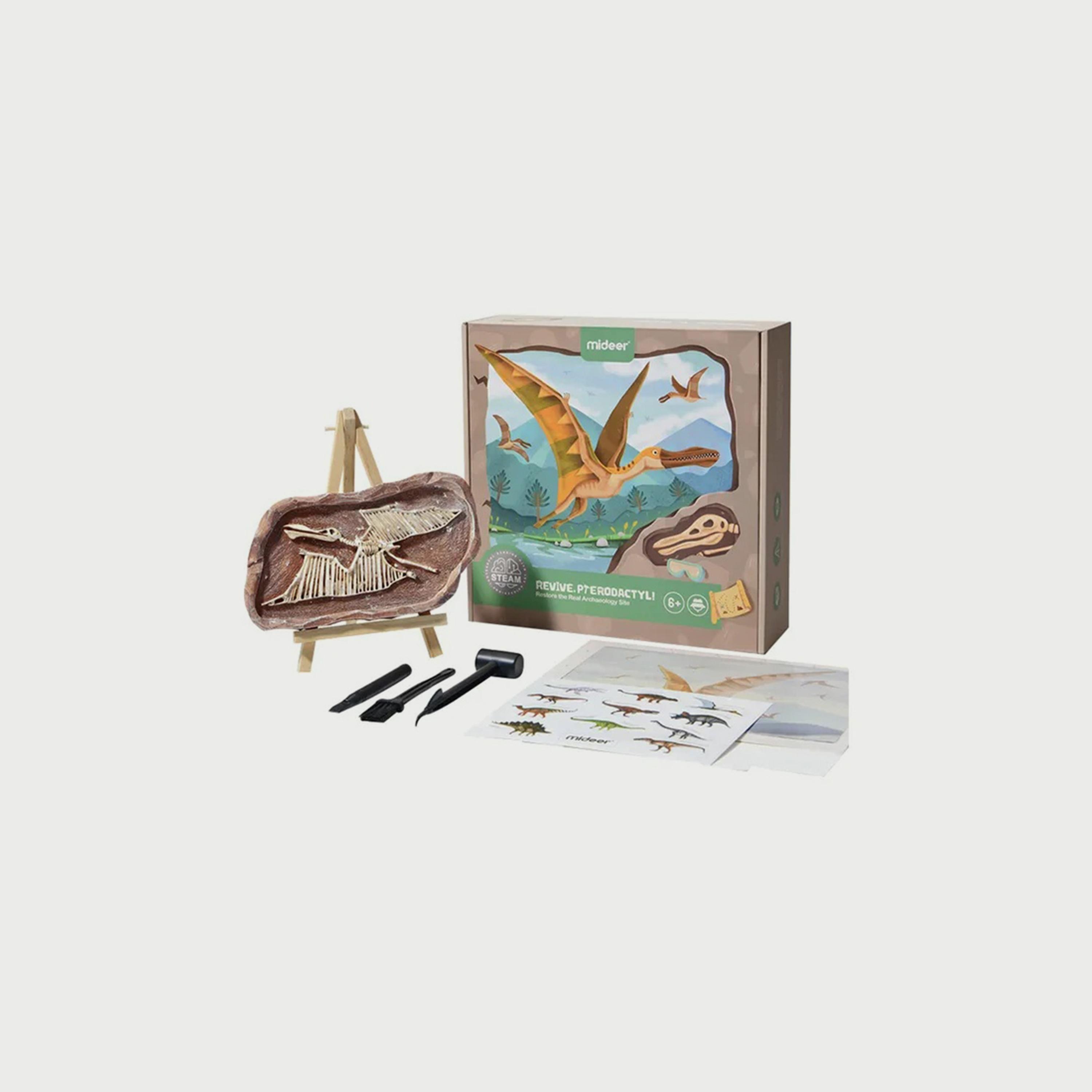 Mideer Revive A Pterosaur, Dig A Dinosaur Kit-toys-educational-stemtoys-image-1